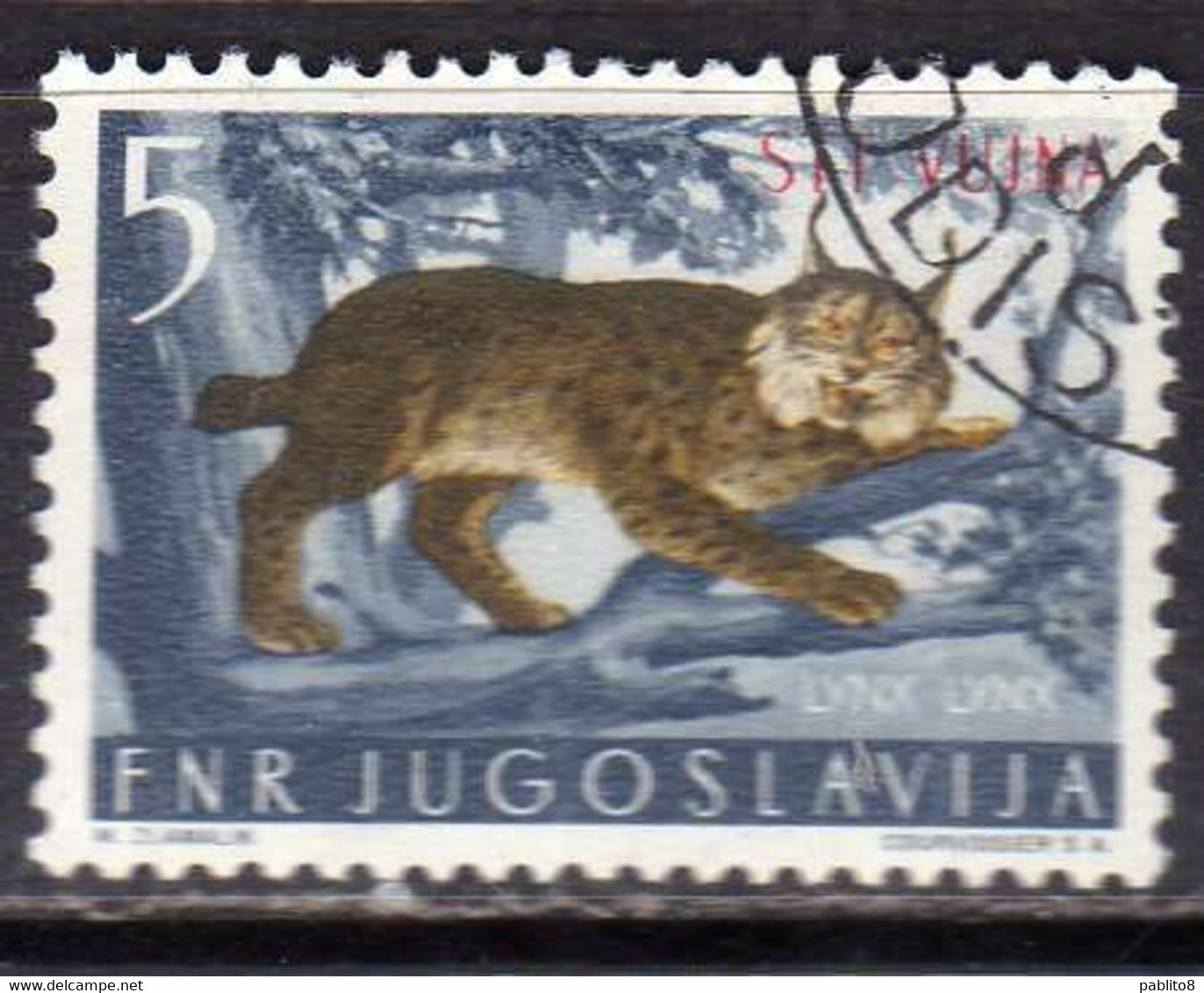 TRIESTE B 1954 FAUNA ANIMALS ANIMALI ANIMAUX LINX LYNKX LINCE 5d USATO USED OBLITERE' - Used