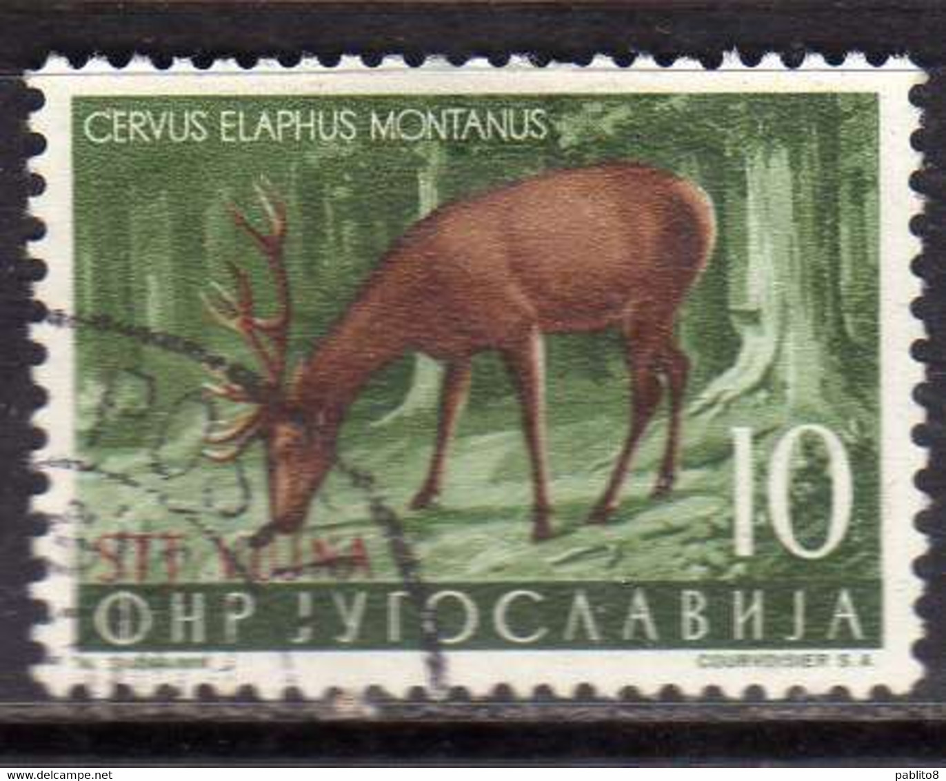 TRIESTE B 1954 FAUNA ANIMALS ANIMALI ANIMAUX CERVUS ELAPHUS MONTANUS CERVO 10d USATO USED OBLITERE' - Gebraucht