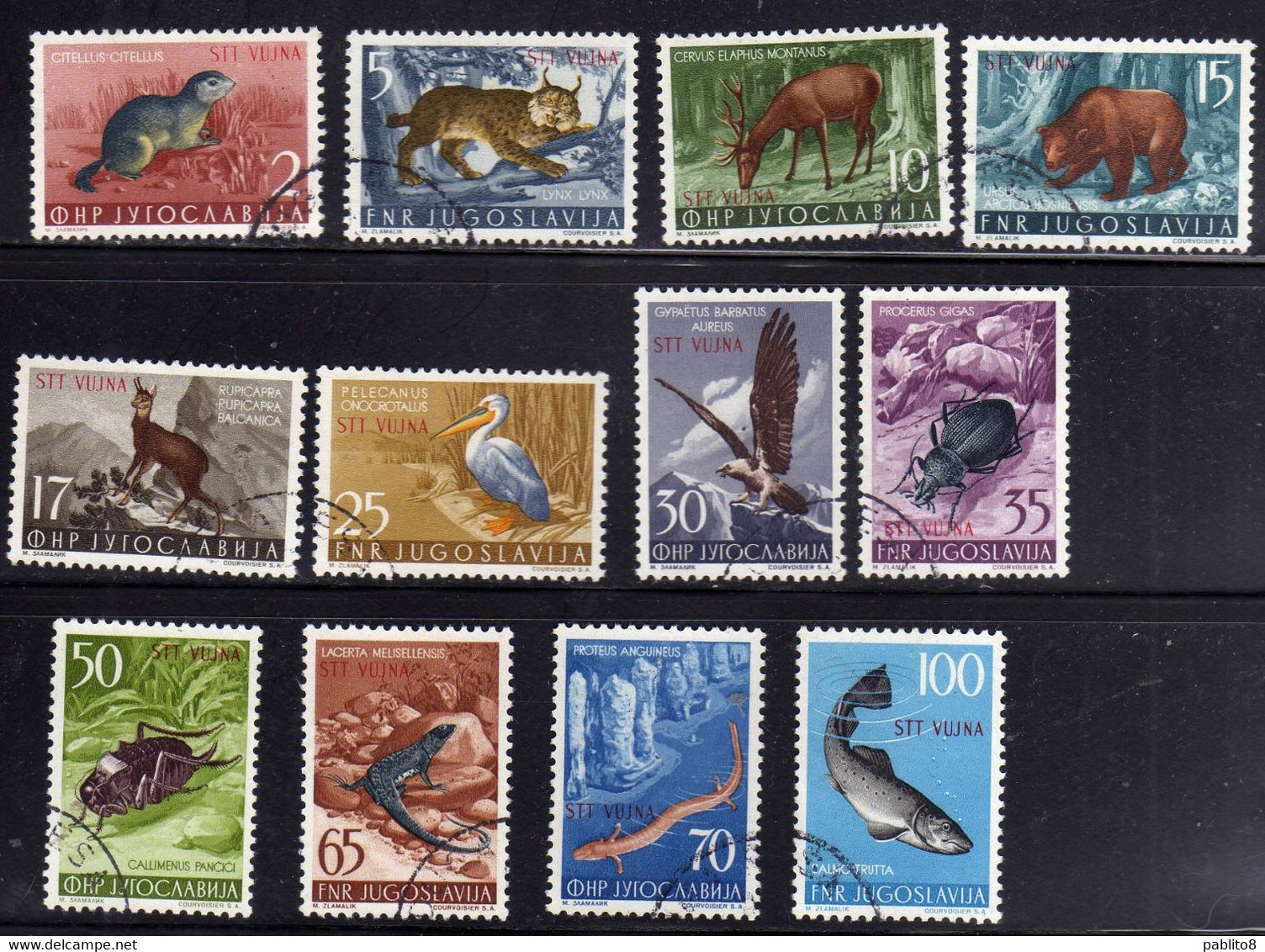 TRIESTE B 1954 FAUNA ANIMALS ANIMALI ANIMAUX SERIE COMPLETA COMPLETE SET USATA USED OBLITERE' - Afgestempeld