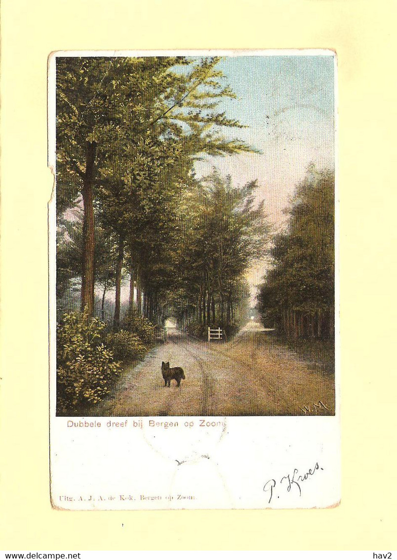 Bergen Op Zoom Dubbele Dreef 1903 RY33983 - Bergen Op Zoom