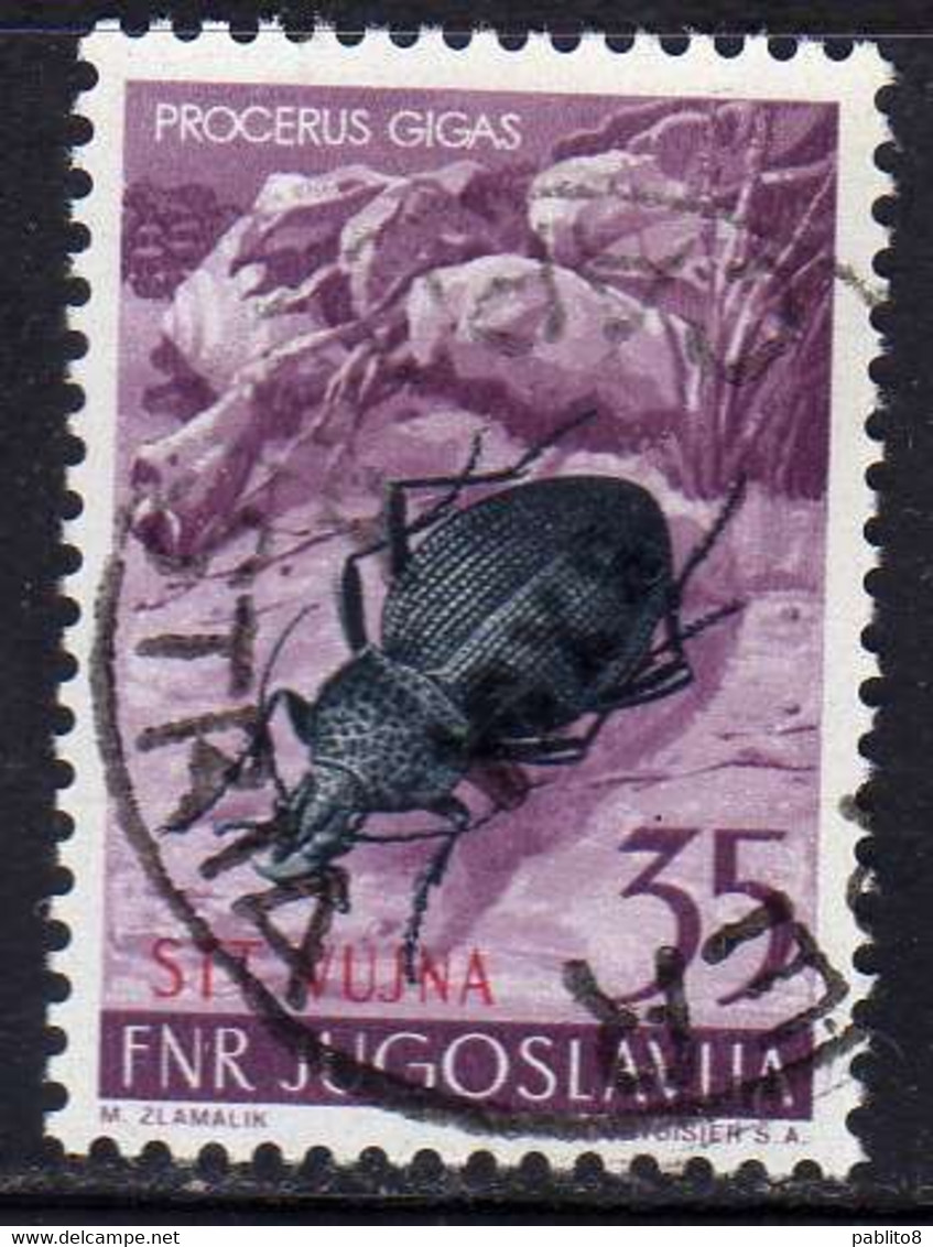 TRIESTE B 1954 FAUNA ANIMALS ANIMALI ANIMAUX PROCERUS GIGAS SCARAFAGGIO 35d USATO USED OBLITERE' - Afgestempeld