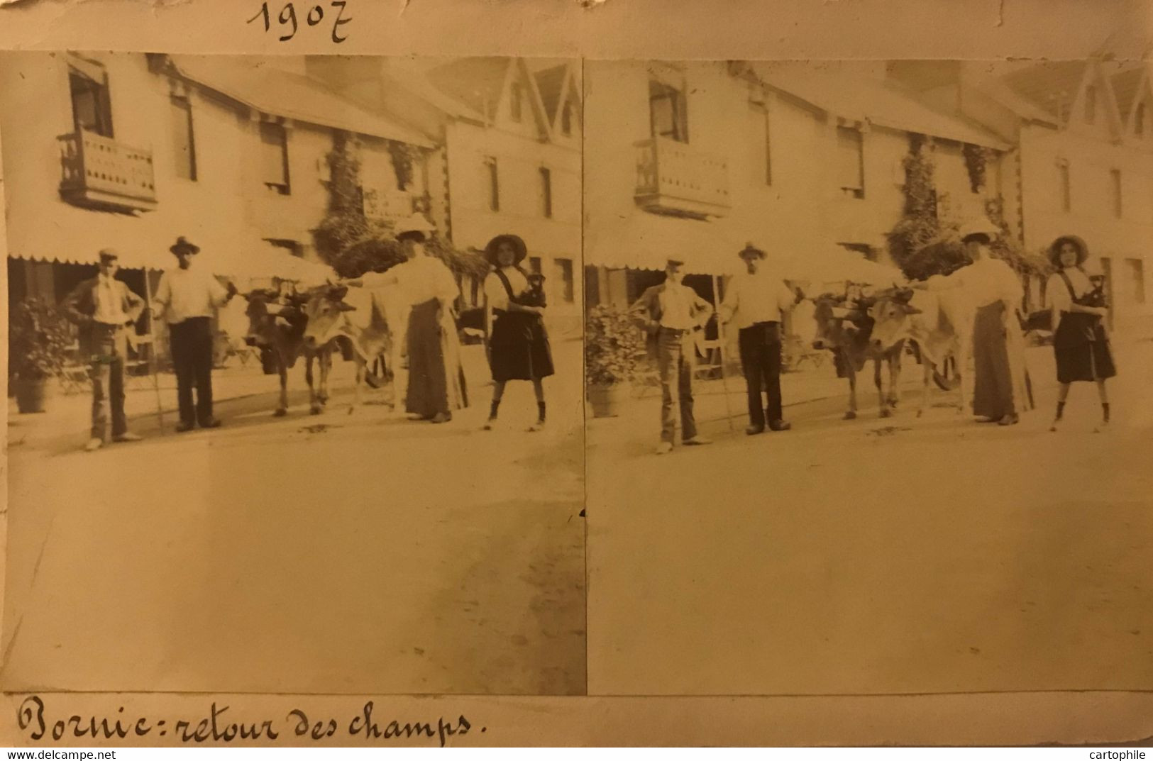 PORNIC ? Photo Stéréoscopique De 1907 - Retour Des Champs (Attention Pas Carte Postale) - Pornic