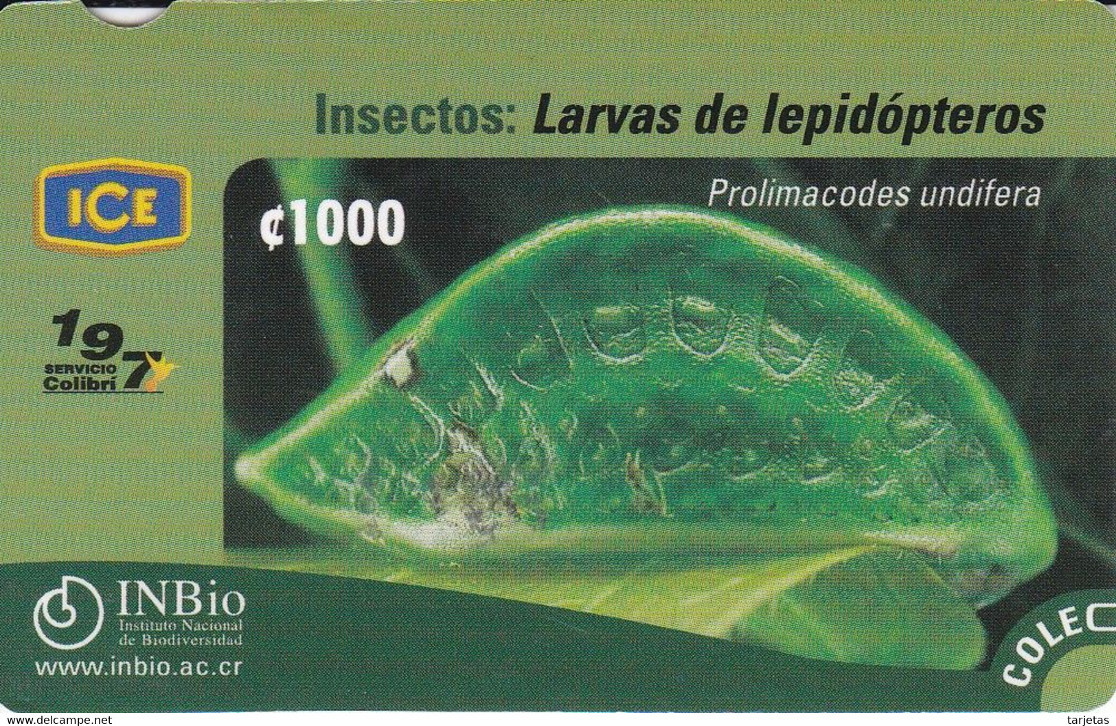 TARJETA DE COSTA RICA DE UNA LARVA DE LEPIDOPTERO - Farfalle