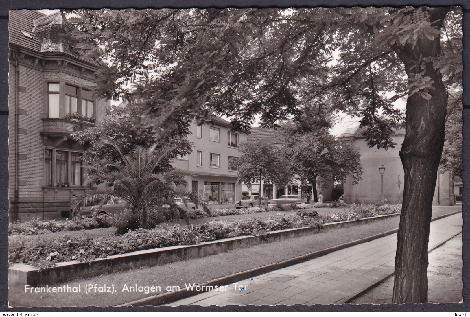 GERMANY  , Frankenthal  ,  OLD  POSTCARD - Frankenthal