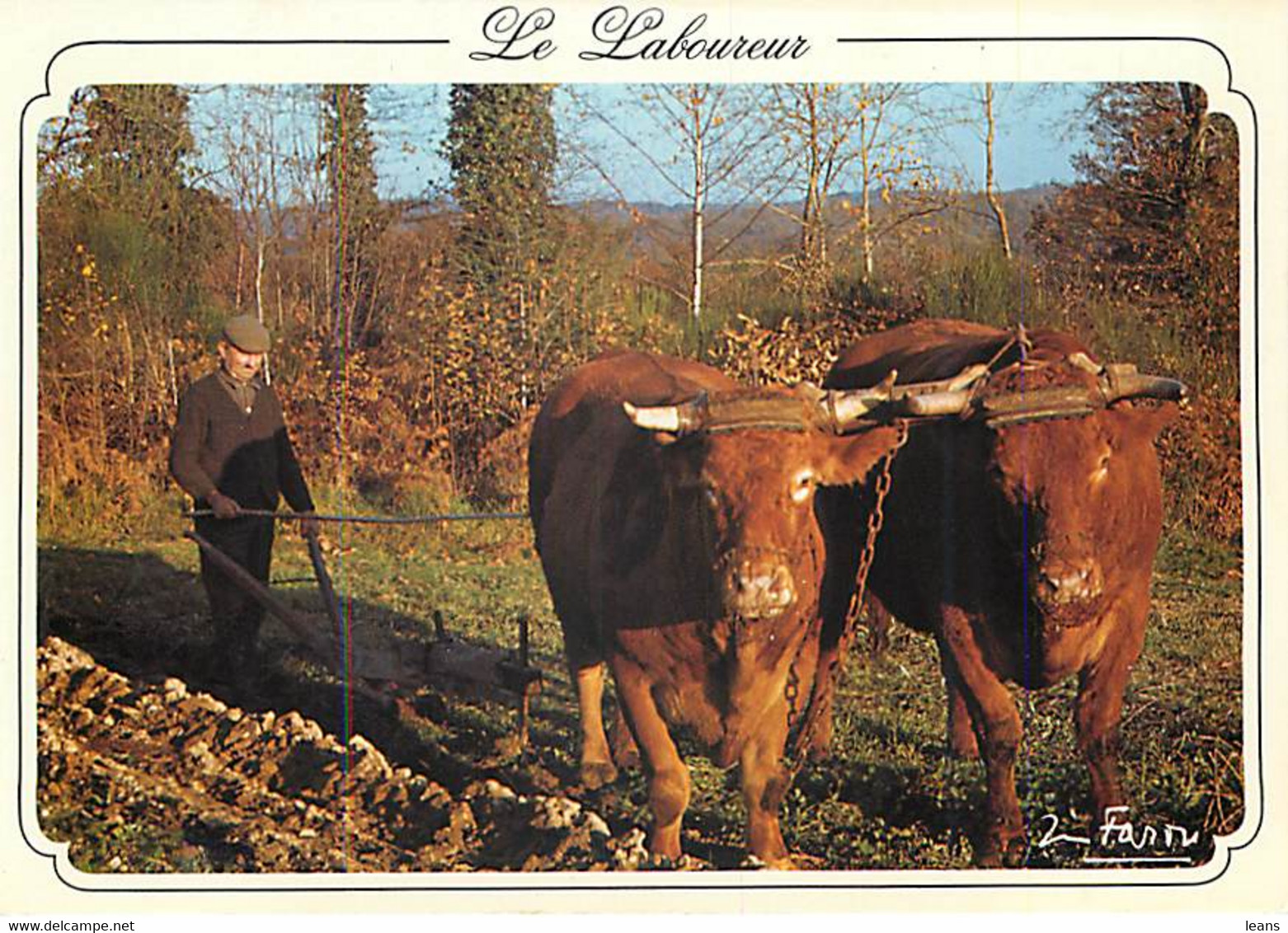 LE LABOUREUR - Attelage De Boeufs - Attelages