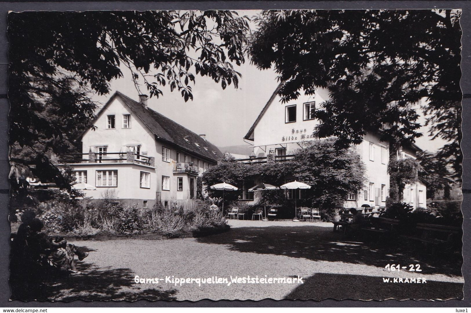 AUSTRIA  ,  GAMS ,  OLD  POSTCARD - Bad Gams