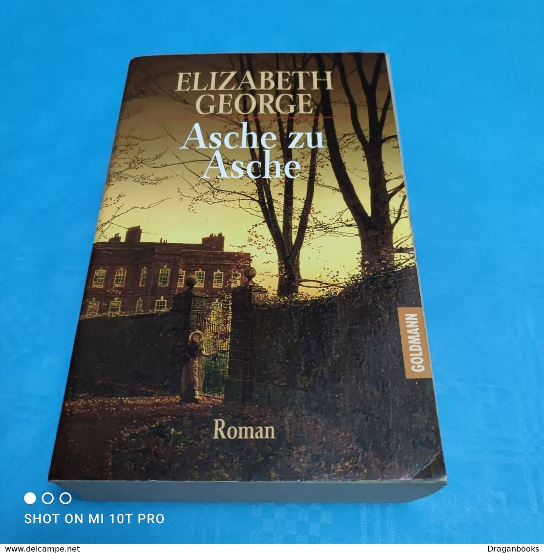 Elizabeth George - Asche Zu Asche - Thriller