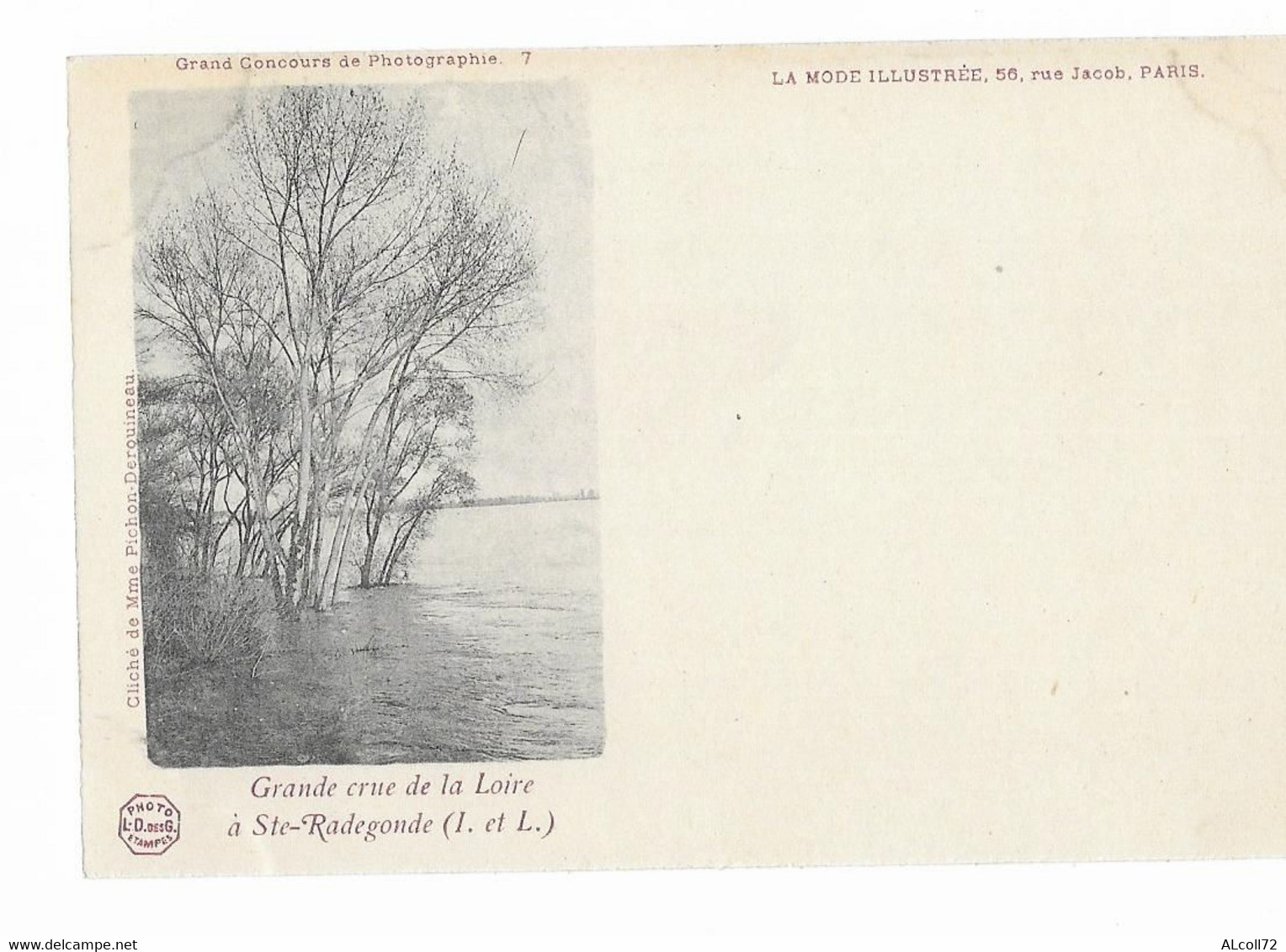 Grande Crue De La Loire à Ste RADEGONDE - Cliché De Mme Pichon- Derouineau - PhotoL-D Des G Etampes - Other & Unclassified