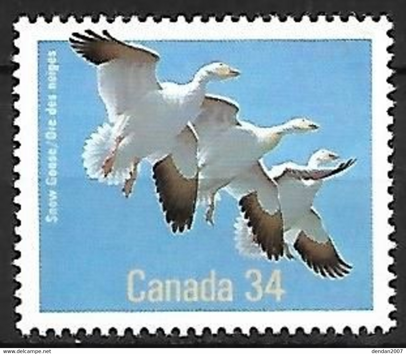 Canada - MNH ** 1986 :  Snow Goose  -  Anser Caerulescens - Gänsevögel