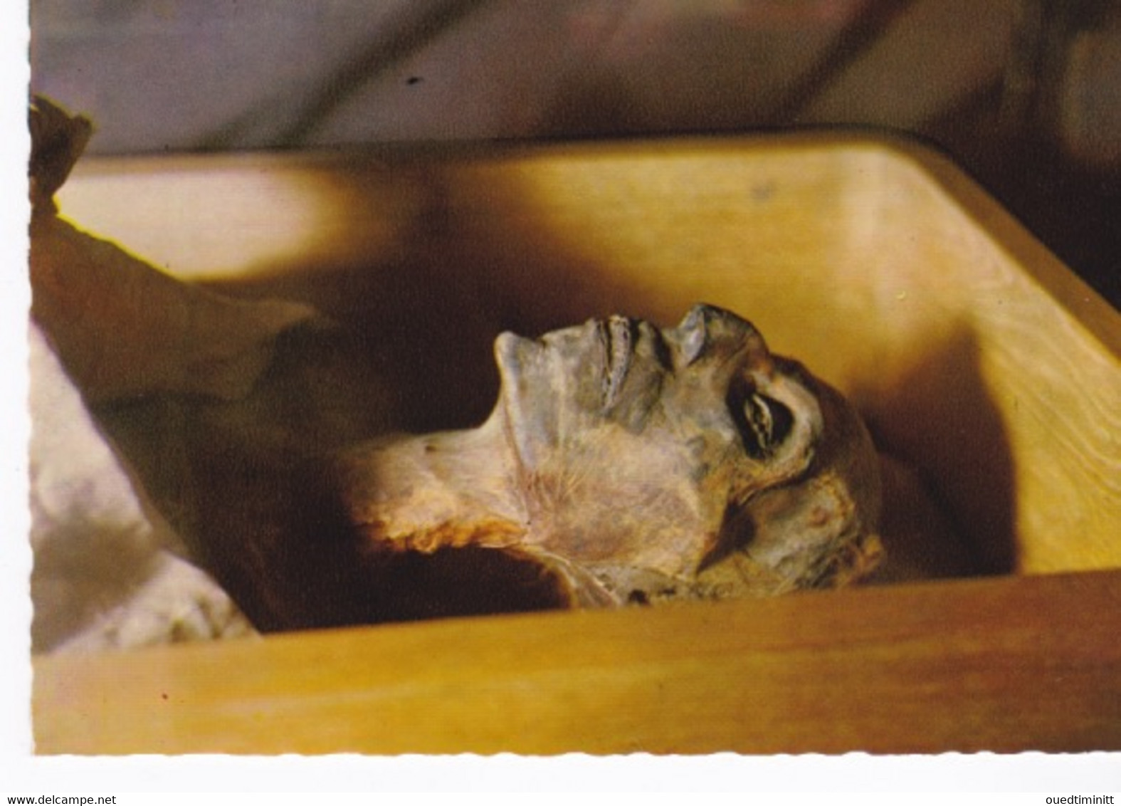 Belle Cpsm Dentelée, Egypte Momie Du Pharaon Ramsès II - Personnages Historiques