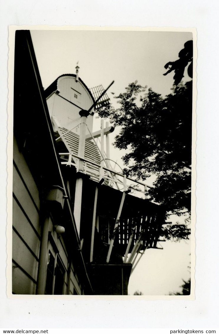 D728 - Weesp Molen 't Haantje - Foto Ong 8x12cm - Molen - Moulin - Mill - Mühle - - Weesp