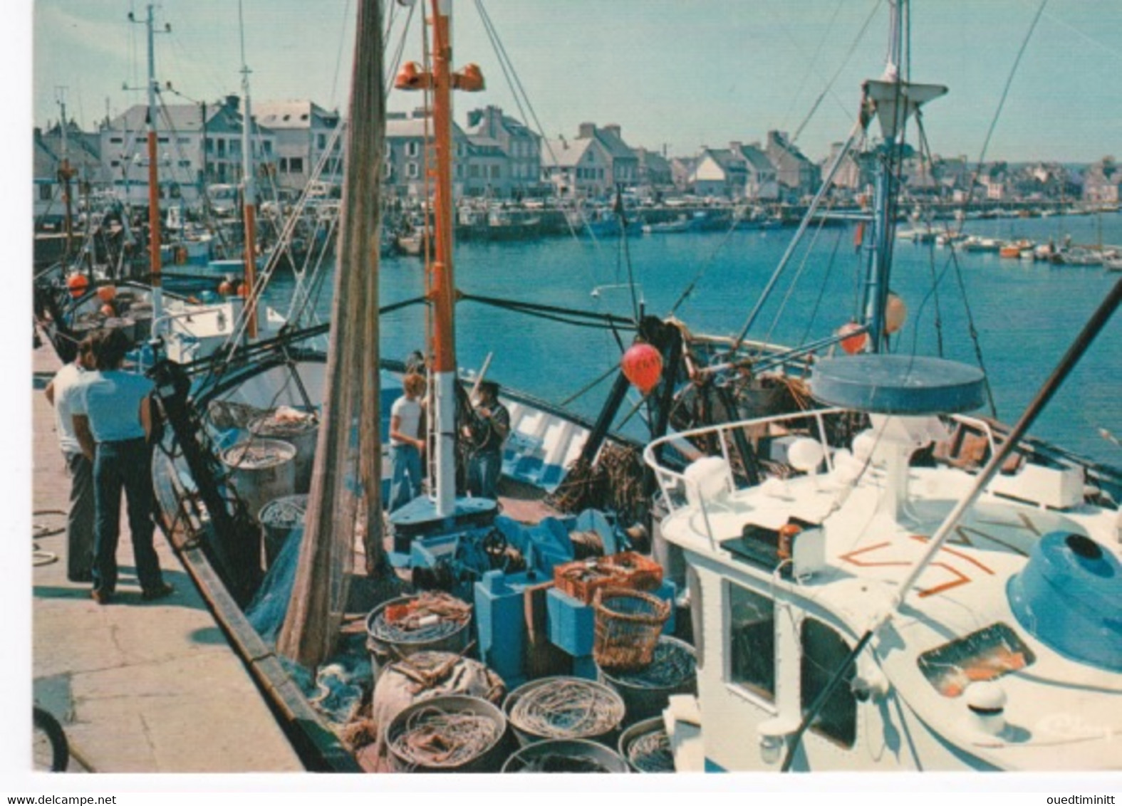 Belle Cpsm, Saint Vaast La Hougue, Le Port Et Un Cordier - Fischerei