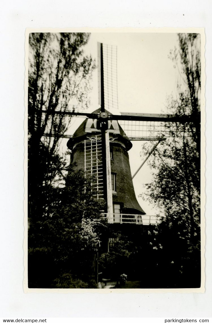 D729 - Weesp Molen De Eendracht - Foto Ong 8x12cm - Molen - Moulin - Mill - Mühle - - Weesp