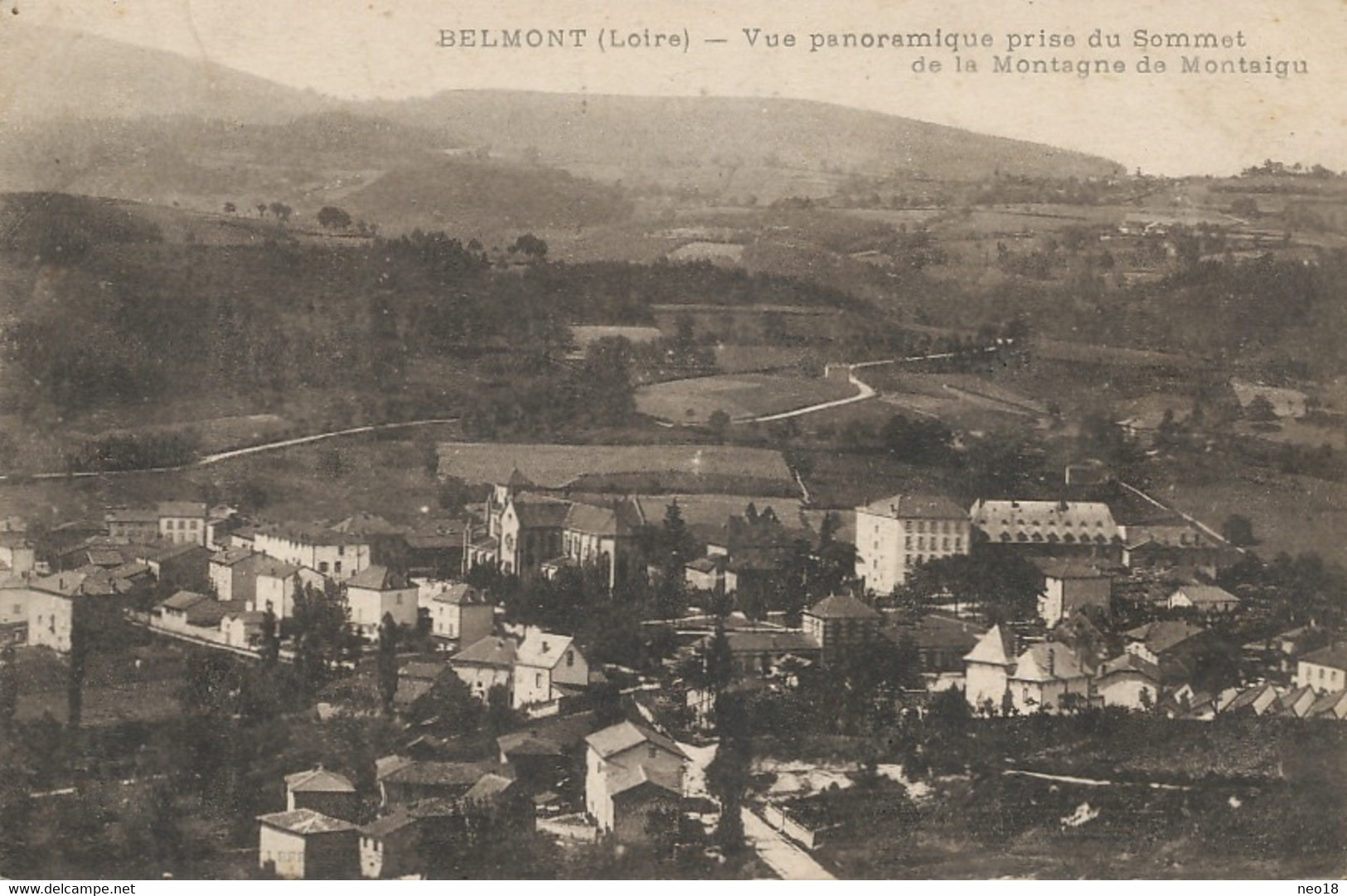 Belmont Vue Panoramique Prise Du Sommet De La Montagne De Montaigu - Belmont De La Loire