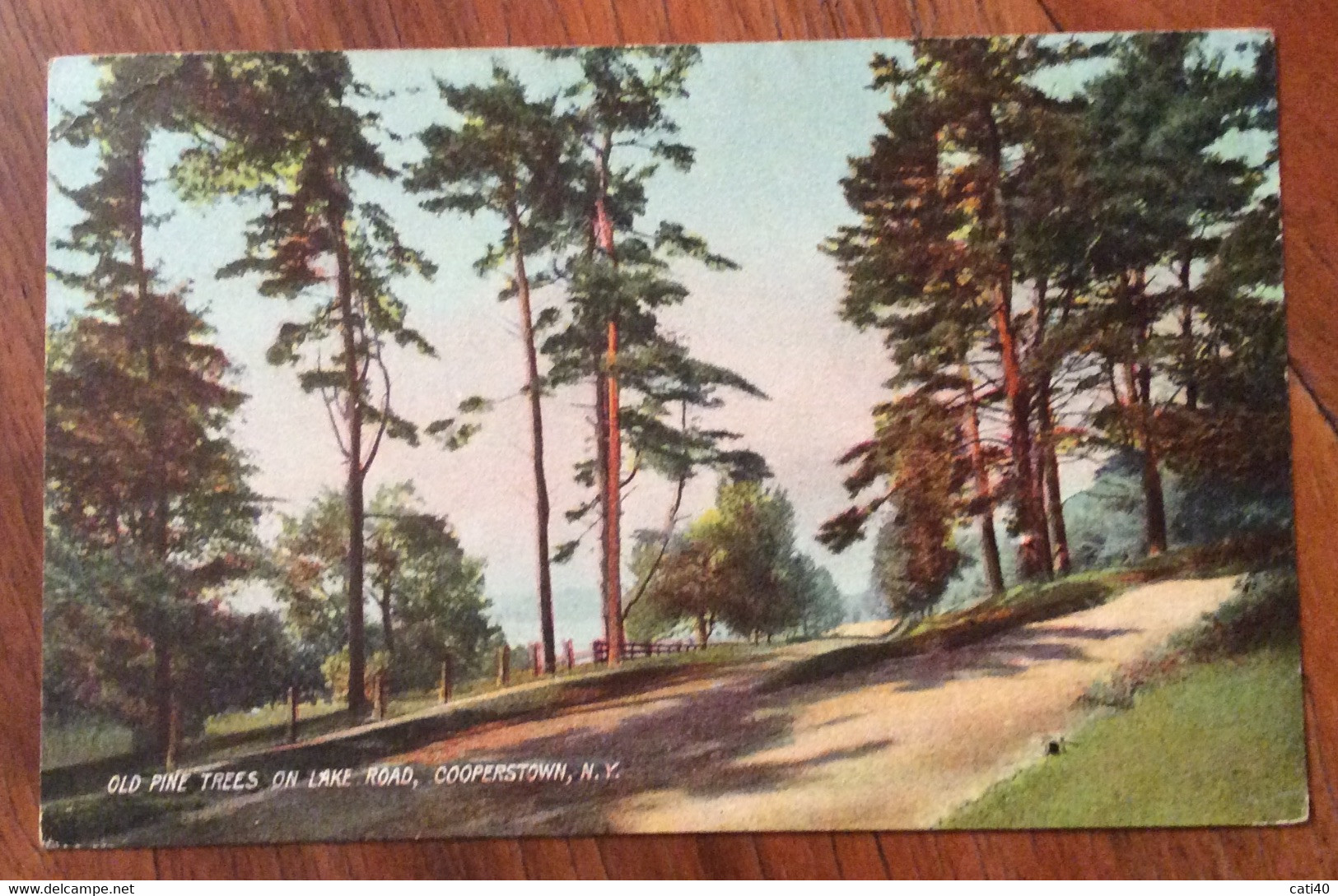 USA - COOPERSTOWN  OLD PINE TREES ON LAKE ROAD - VINTAGE POST CARD  JAN  8  1909 - Fall River