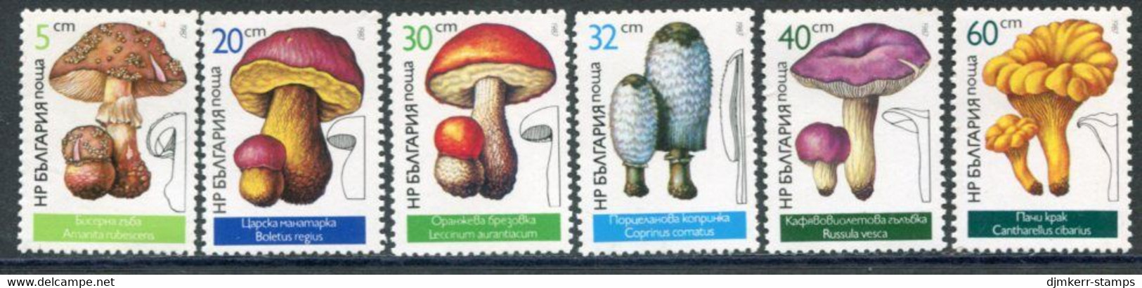 BULGARIA 1987 Fungi  MNH / **.  Michel 3546-51 - Unused Stamps