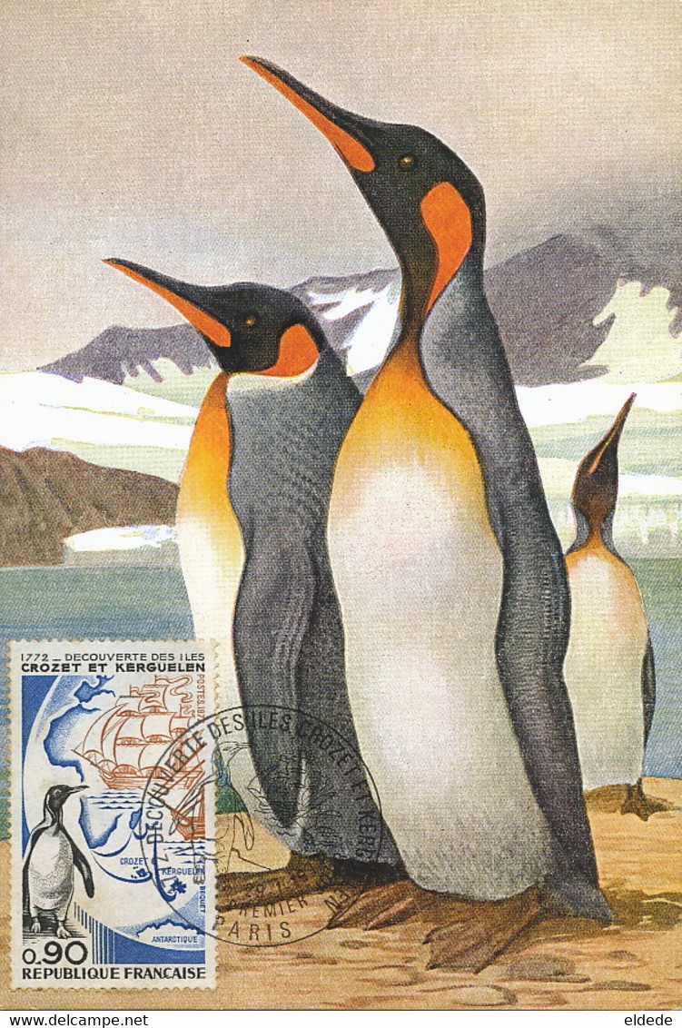 Carte Maximum Oiseau TAAT Iles Crozet Kerguelen  Bird 1972  Manchot Royal King Penguin Antarctique - TAAF : Terres Australes Antarctiques Françaises