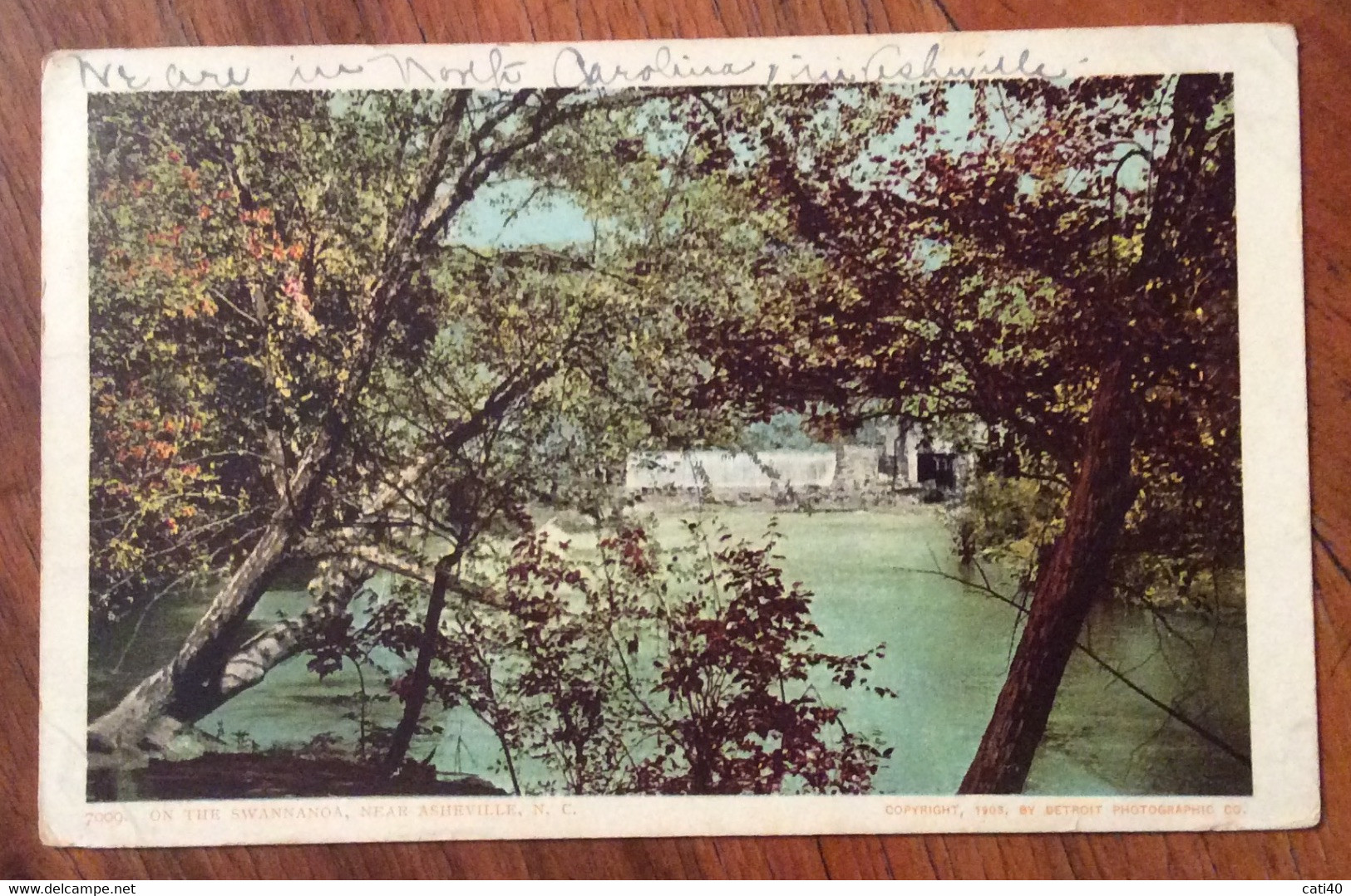 USA -  ASHEVILLE ON THE SWANNANOA  - VINTAGE POST CARD  1905 - Fall River