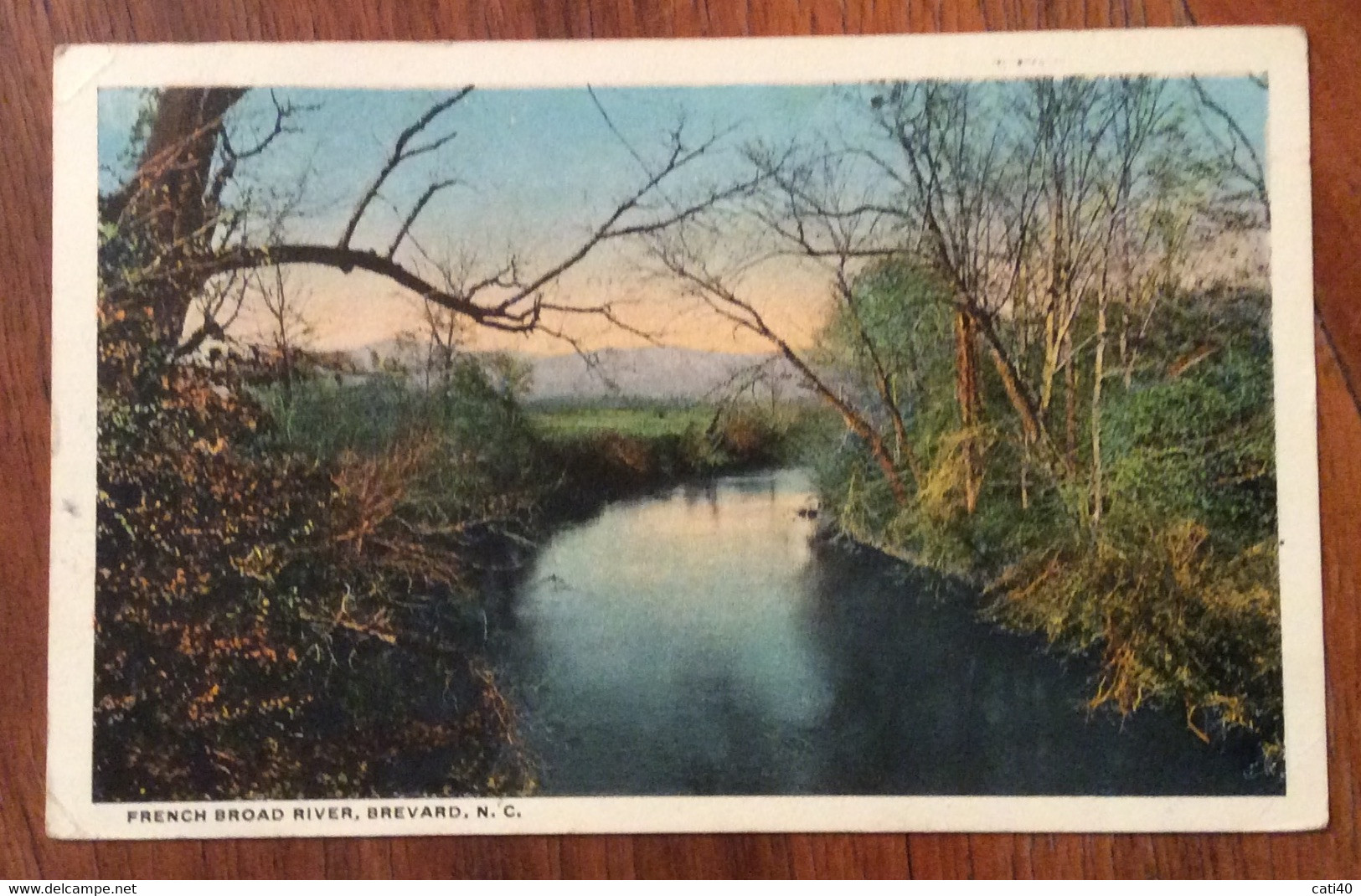 USA -   FRENCH BROAD, BREVARD  - VINTAGE POST CARD  1919 - Fall River
