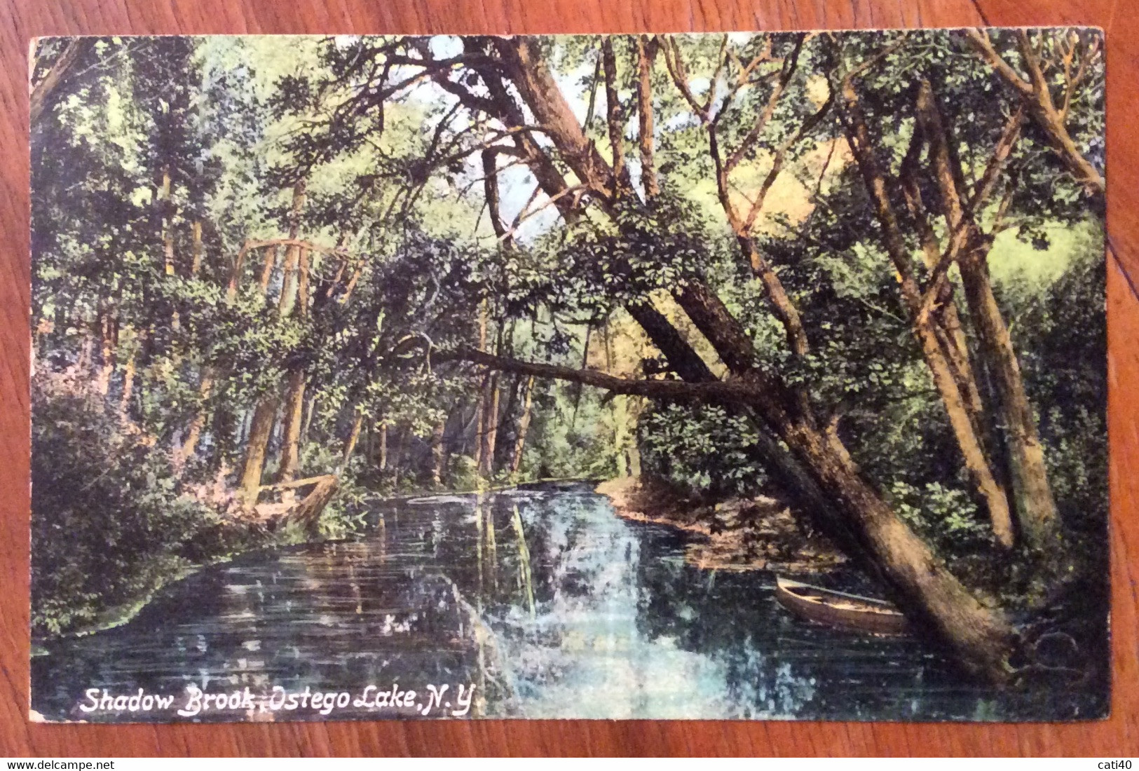 USA -  OSTEGO LAKE SHADOW  BROOK  - VINTAGE POST CARD   1911 - Fall River