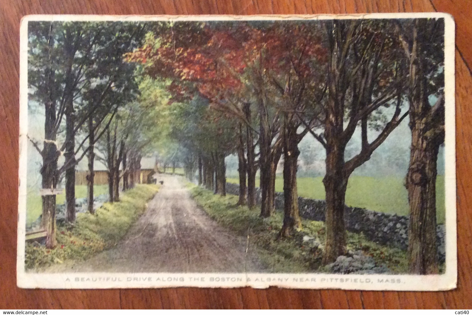USA - PITTSFIELD A BEATIFUL DRIVE ALONG THE BOSTON & ALBANY NEAR     - VINTAGE POST CARD   1915 - Fall River