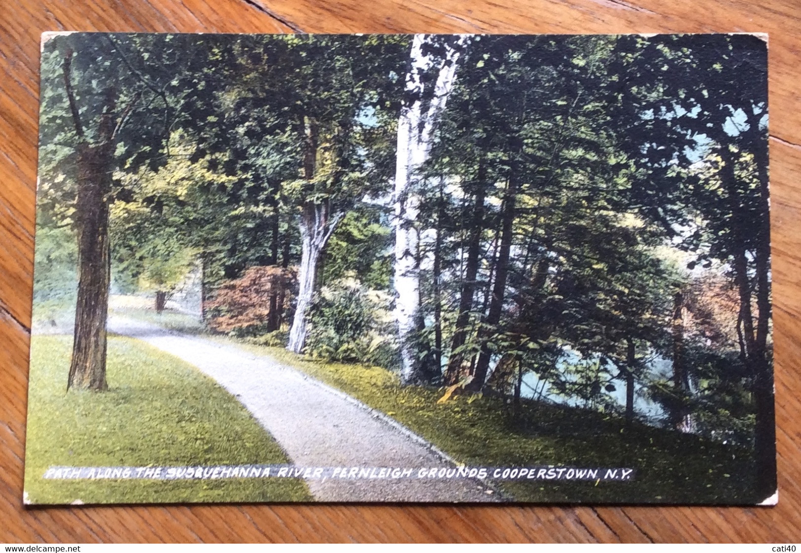 USA - COOPERSTOWN  VIALE NEL BOSCO   - VINTAGE POST CARD   1911 - Fall River
