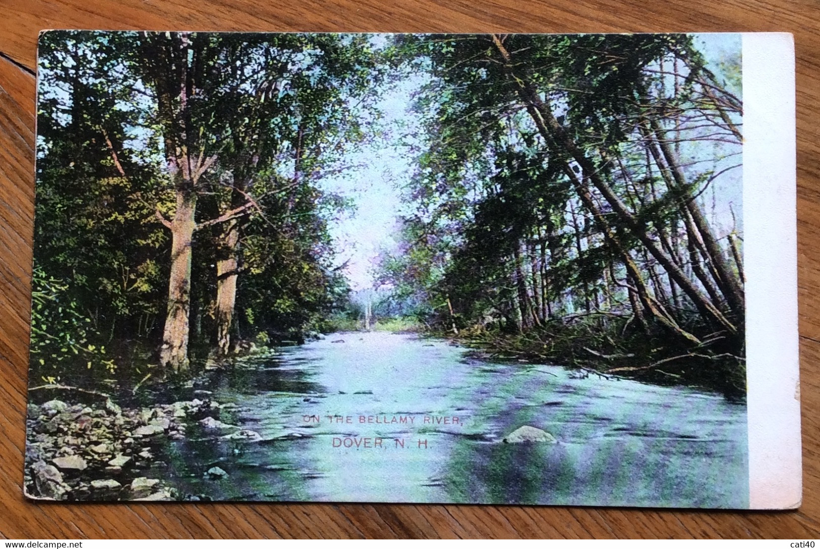 USA - DOVER N.H. ON THE BELLAMY RIVER   - VINTAGE POST CARD 1907 - Cape Cod