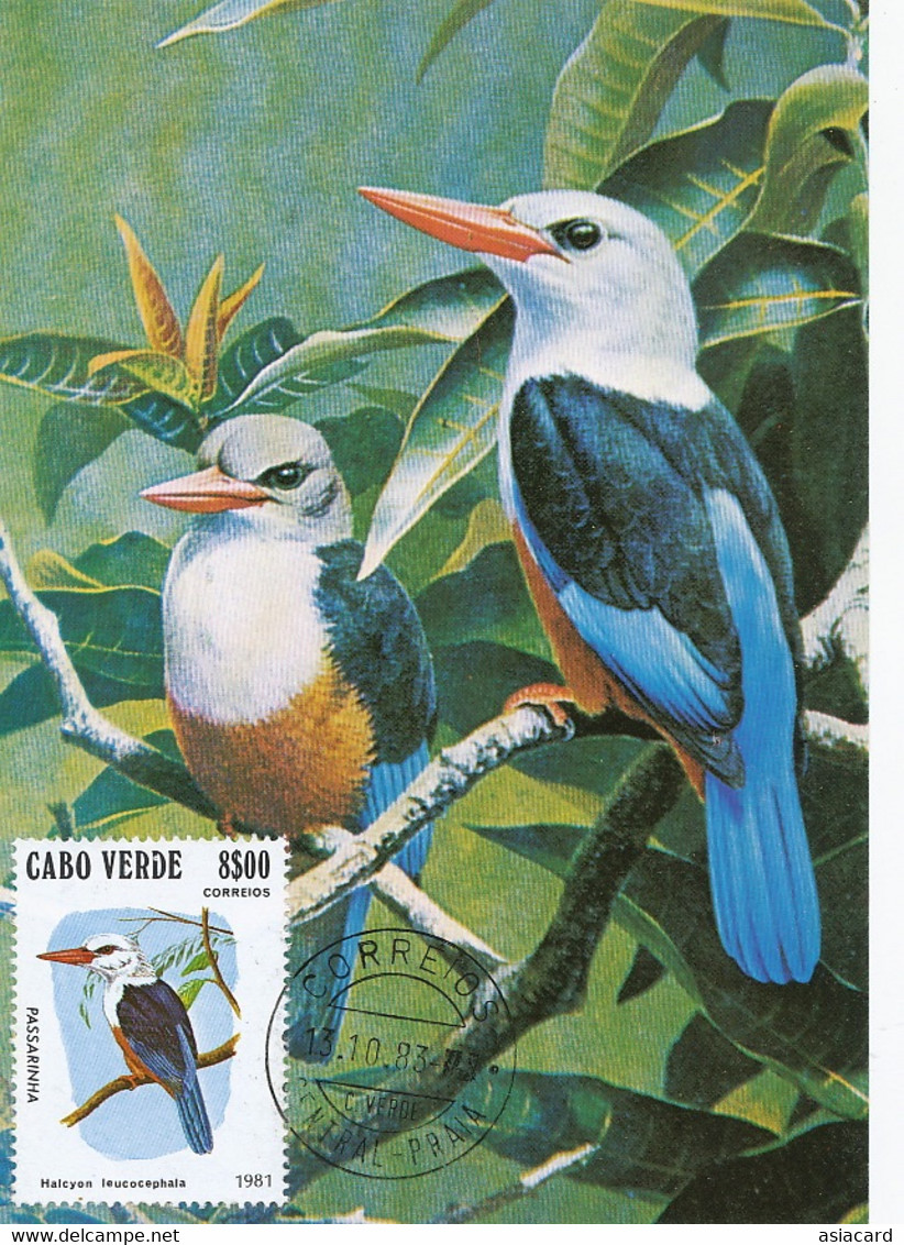 Maximum Card Cabo Verde  Passarinha Halcyon  1983 - Capo Verde