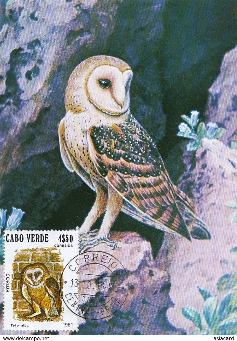 Maximum Card Cabo Verde  Coruja Typo Alba Rapace Chouette  1983 - Kaapverdische Eilanden