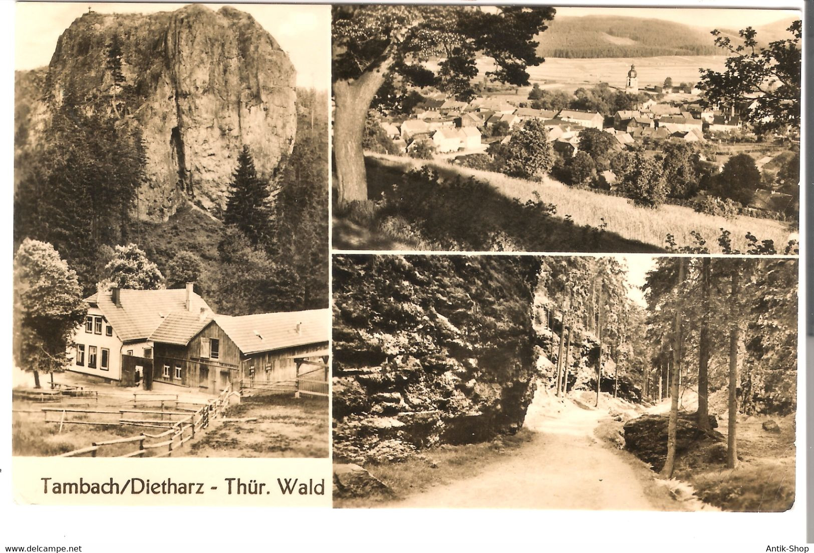 Tambach/Dietharz - Thür.Wald - 3 Ansichten Von 1962 (53480) - Tambach-Dietharz