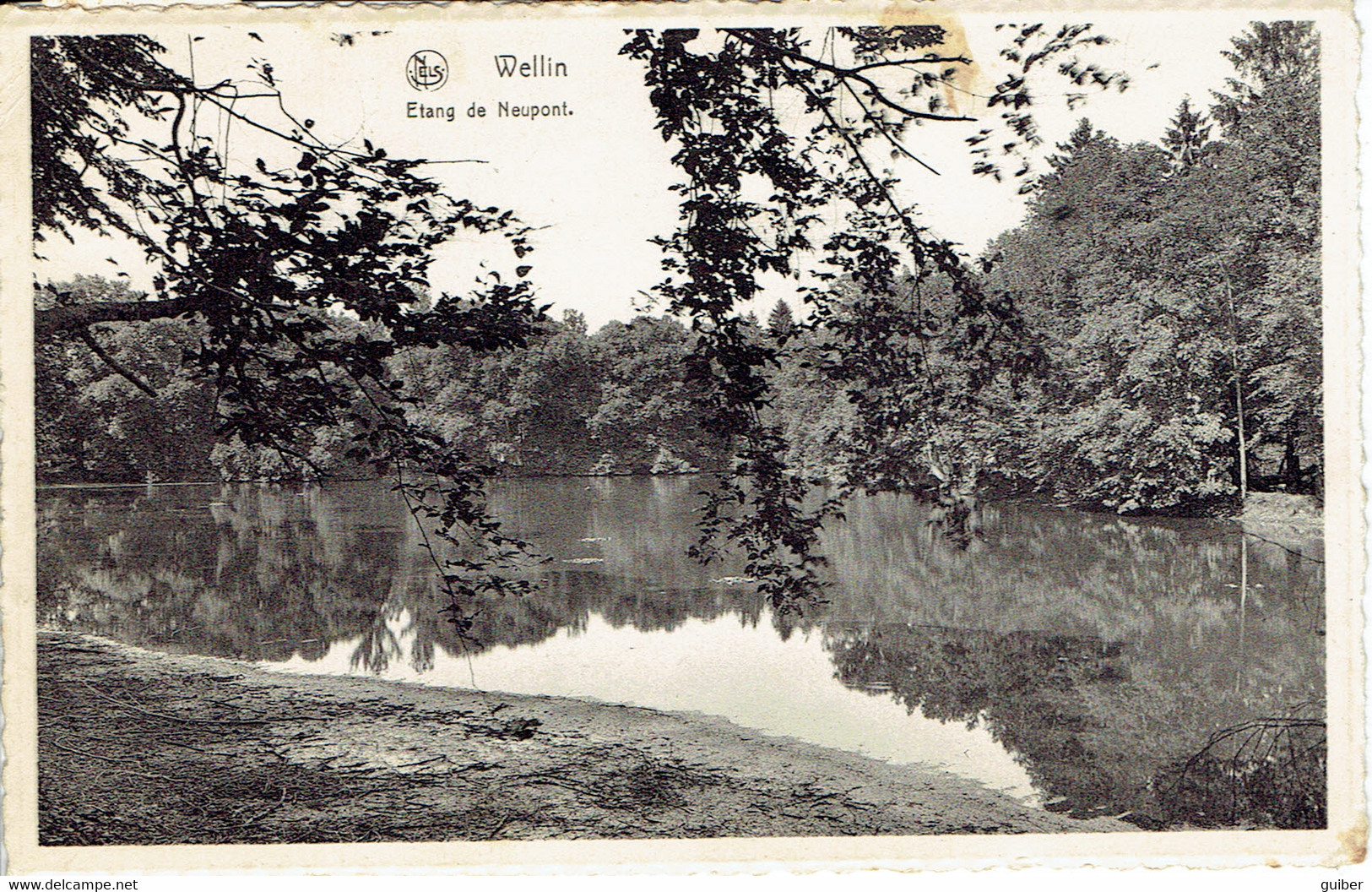 Wellin Etang De Neupont - Wellin