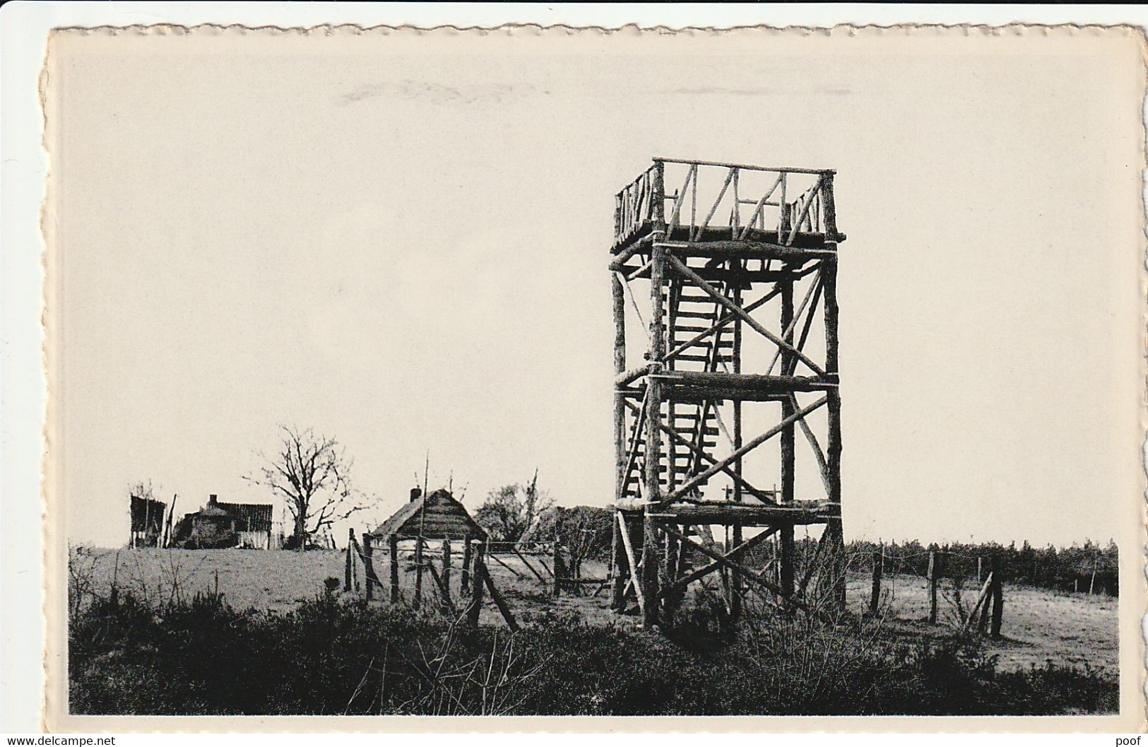 Westerlo - Kipdorp : Uitkijktoren - Westerlo