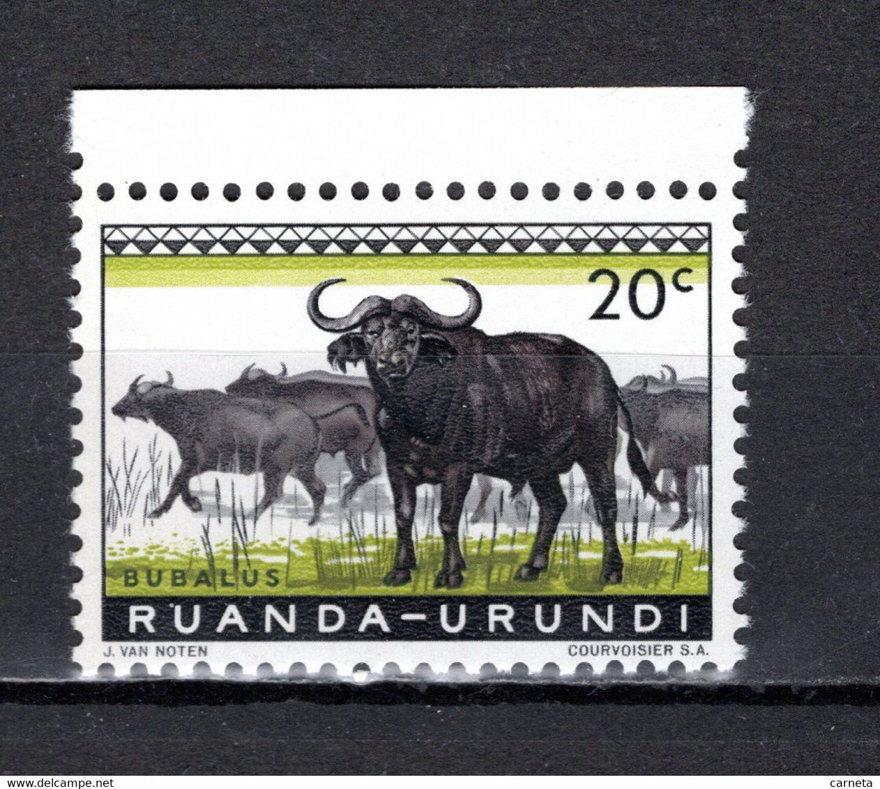 RUANDA-URUNDI   N° 206   NEUF SANS CHARNIERE   COTE 0.15€   BUFFLE ANIMAUX - Unused Stamps