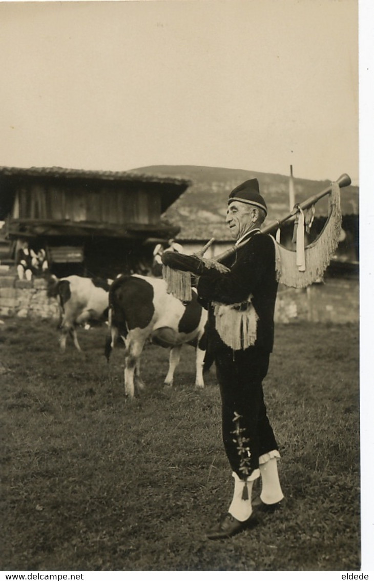 Real Photo El Gaitero Folklore Astur Music Player Bagpipe With Cows  Cornemuse . - Asturias (Oviedo)