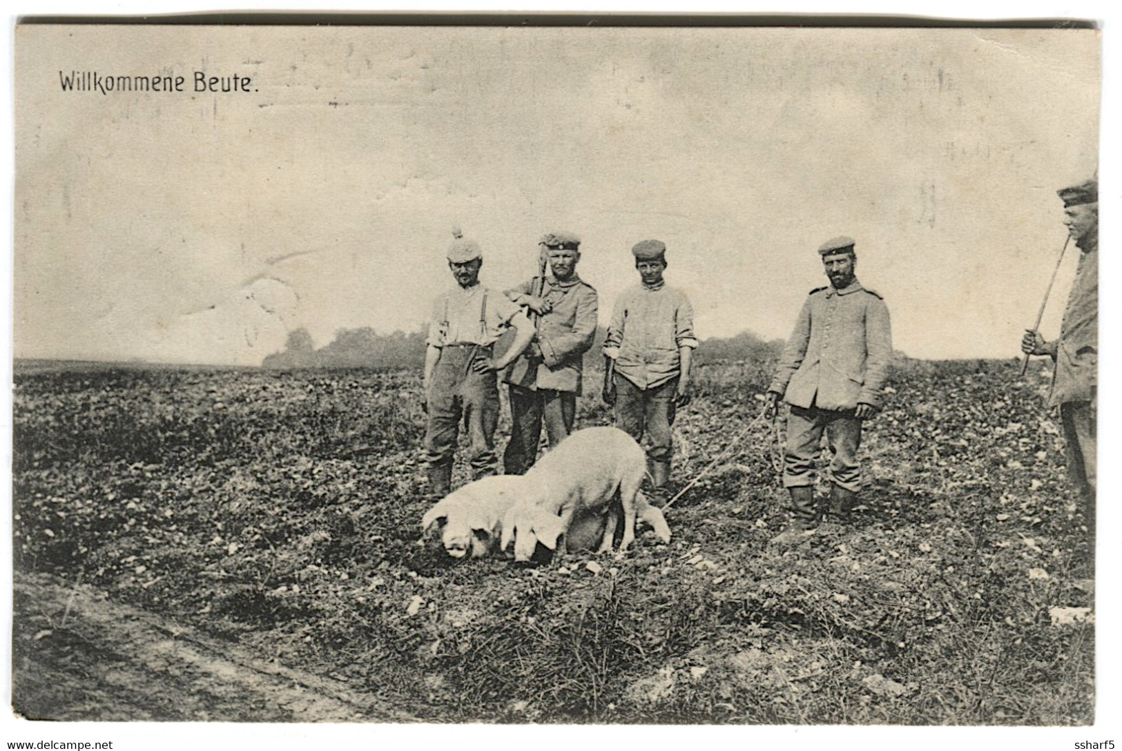 WWI Soldiers With Pigs WILLKOMMENE BEUTE Sent Kais. D. Feldpoststation 21 B 1915 - Ostpreussen