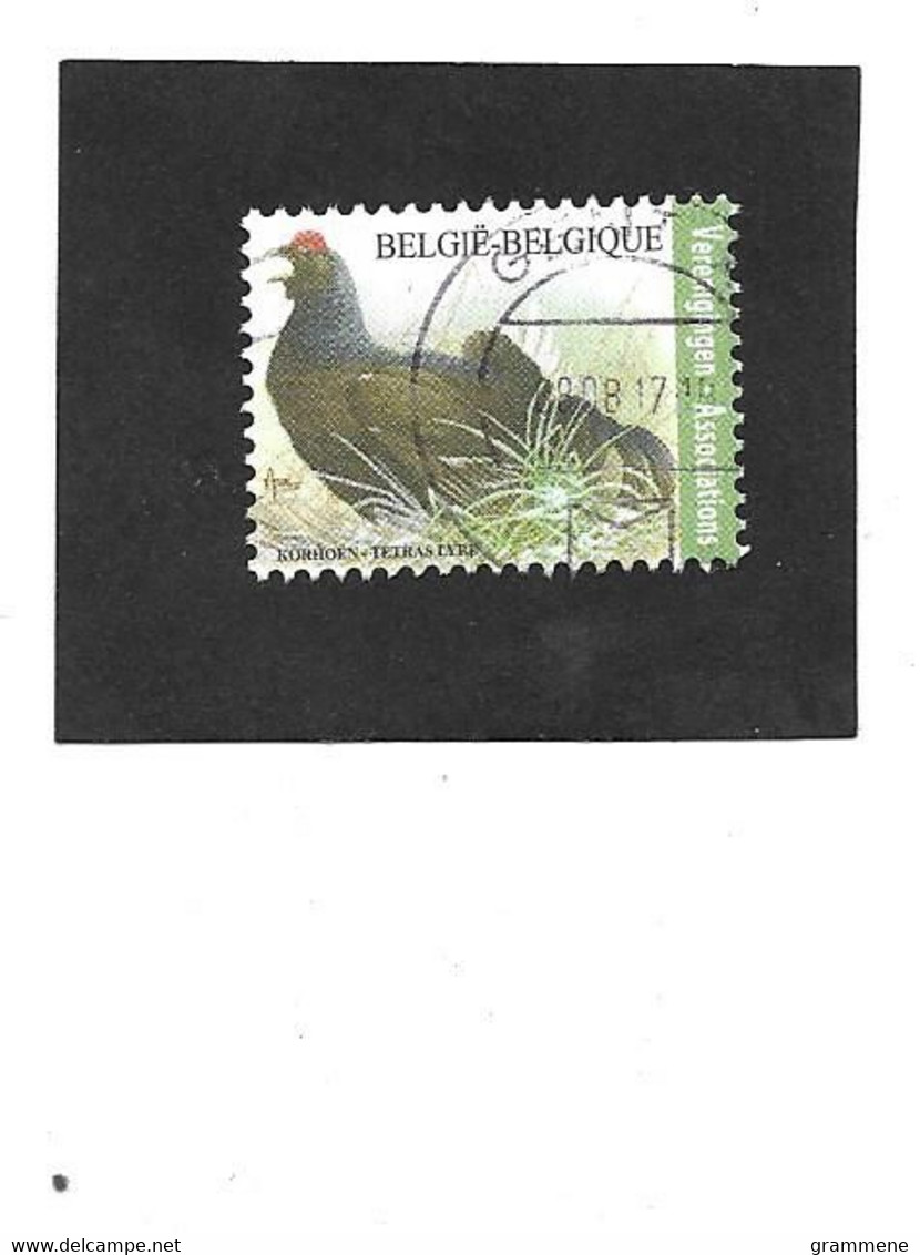 4305 Korhoen Verenigingen Tarief  Gestempeld - 1985-.. Oiseaux (Buzin)