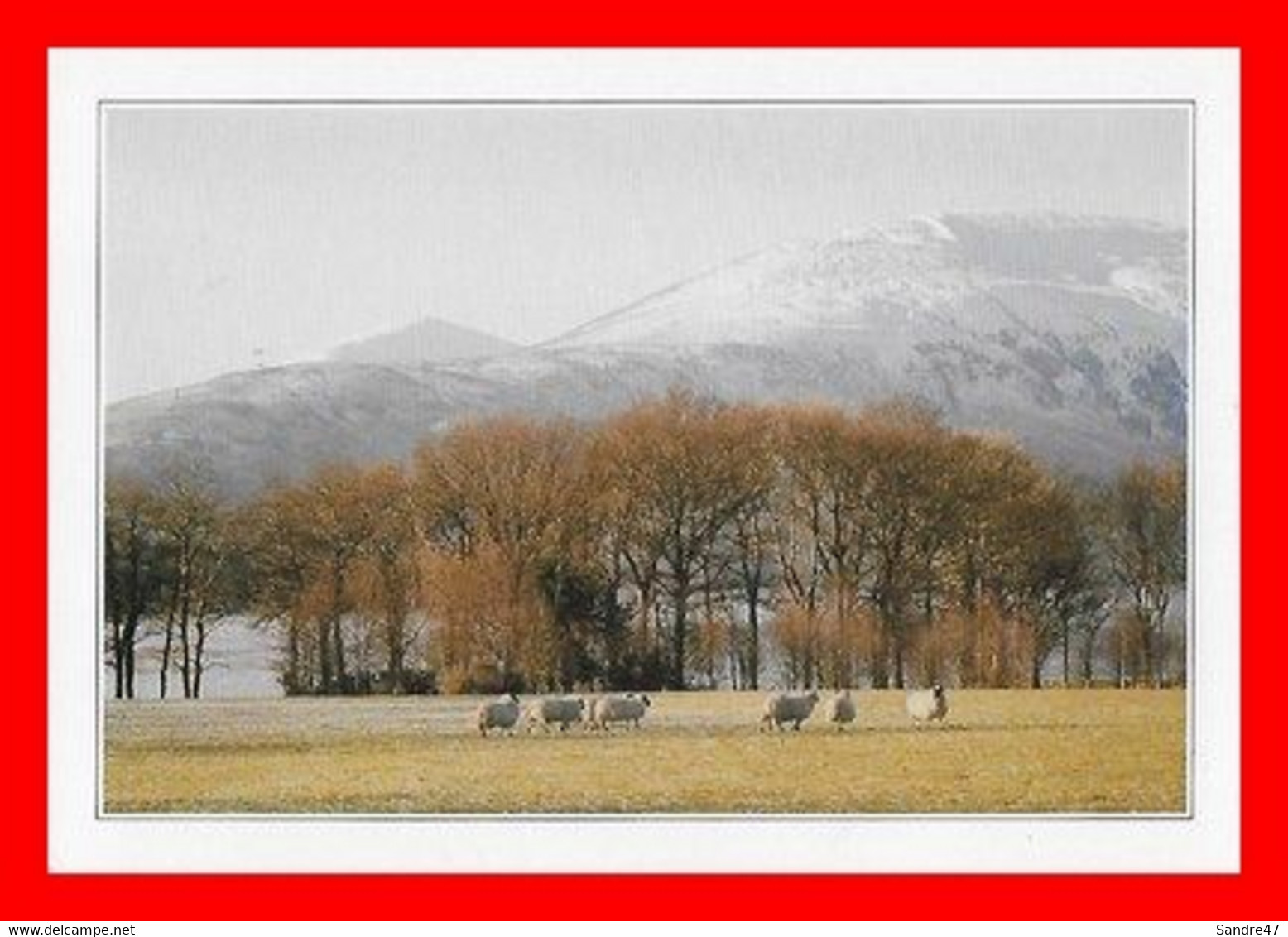 CPSM/gf ECOSSE.  A Glimpse Of Loch Lomond...M408 - Dunbartonshire