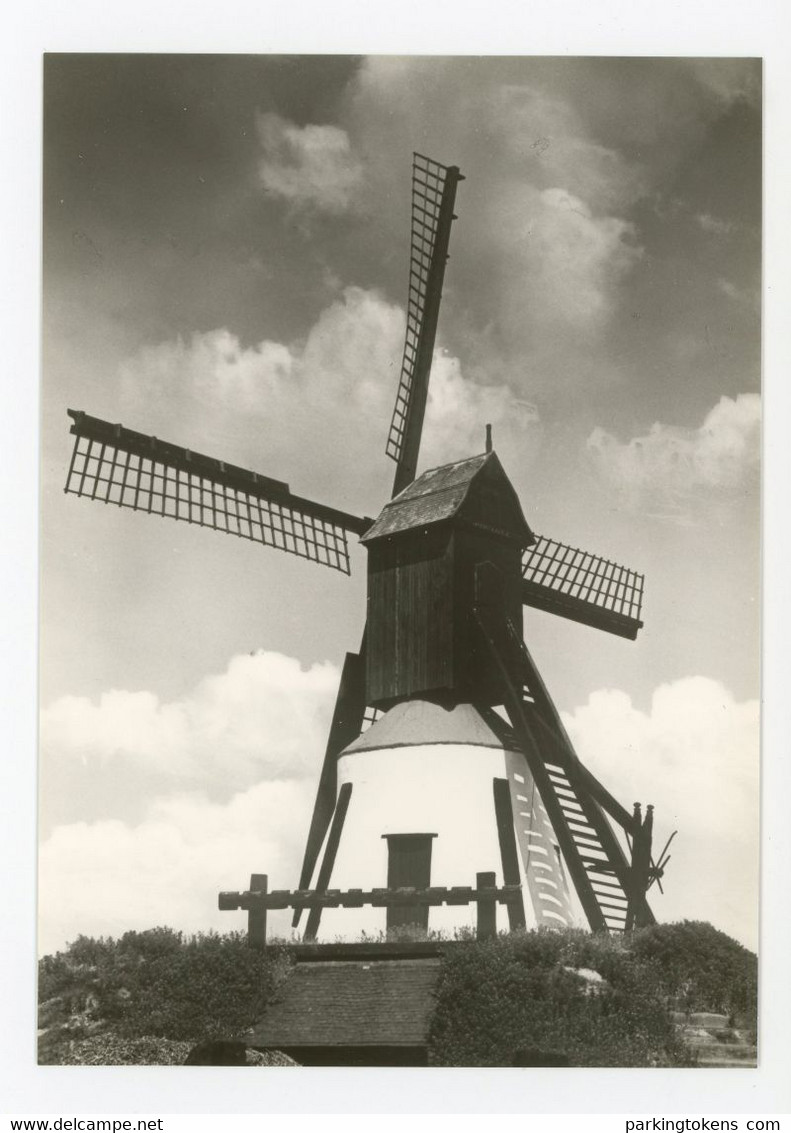 D752 - Londerzeel - Grootformaatkaart 10x15cm - Molen - Moulin - Mill - Mühle - - Londerzeel