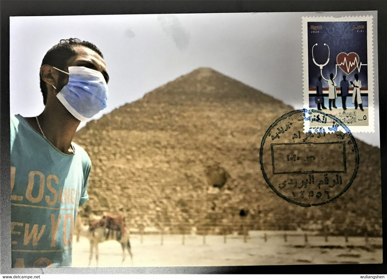 Egypt 2020 Anti-Coronavirus COVID-19 Maximum Card - Lettres & Documents