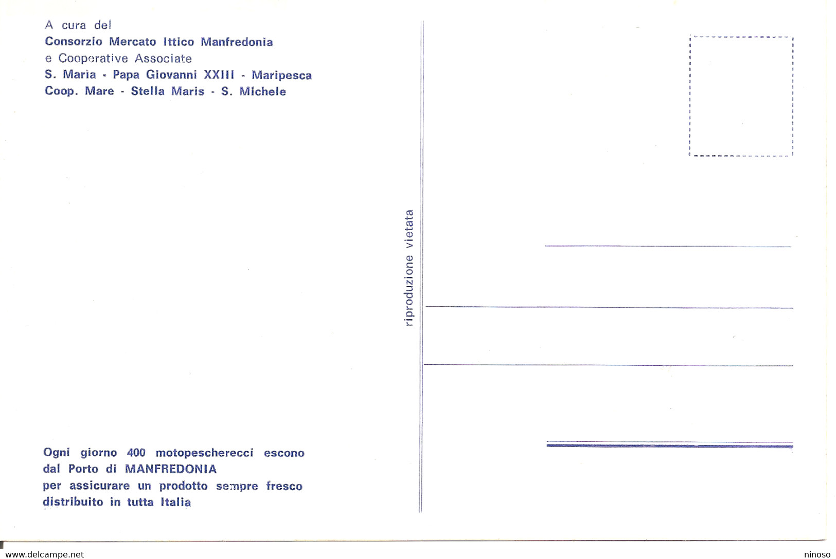 CONSORZIO MERCATO ITTICO MANFREDONIA - Manfredonia