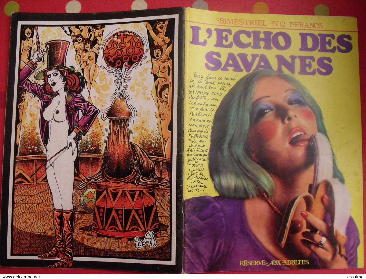 L'écho Des Savanes N° 12. 1975. Gotlib Bretecher Mandryka - L'Echo Des Savanes