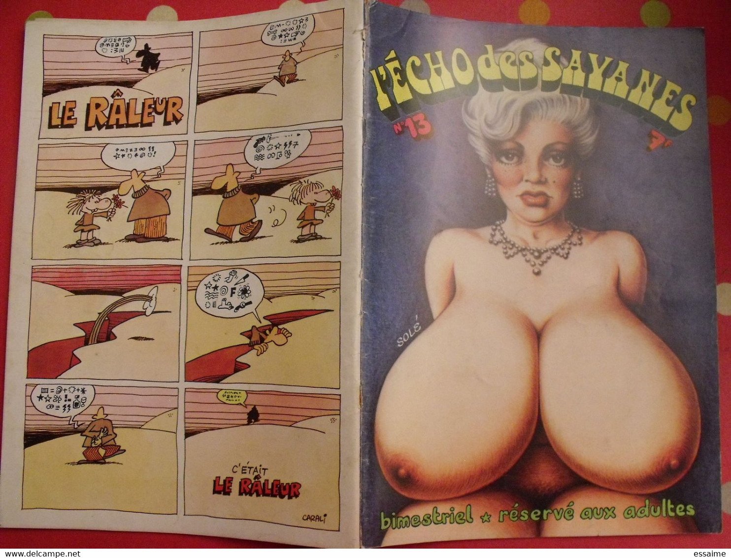 L'écho Des Savanes N° 13. 1975. Gotlib Bretecher Mandryka Solé Crumb Masse - L'Echo Des Savanes