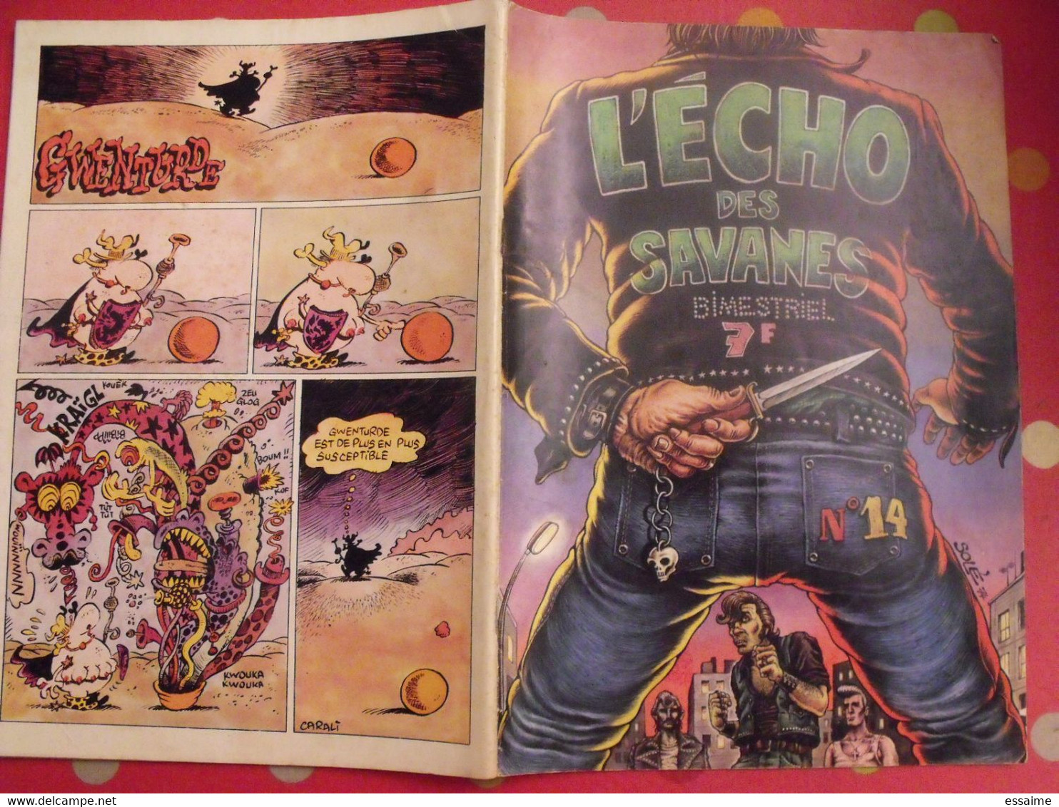 L'écho Des Savanes N° 14. 1975. Gotlib Bretecher Mandryka Solé Pichard Pétillon Carali Masse - L'Echo Des Savanes