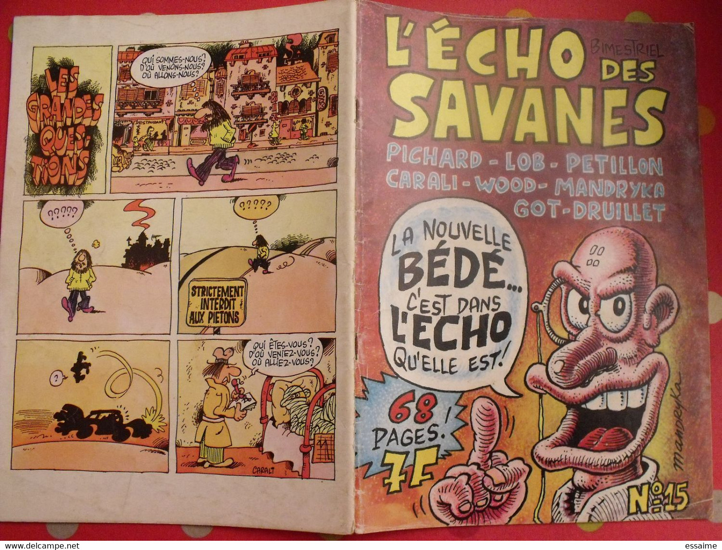 L'écho Des Savanes N° 15. 1975. Gotlib Pétillon Pichard  Mandryka Solé Wallace Wood Carali Druillet Lob - L'Echo Des Savanes