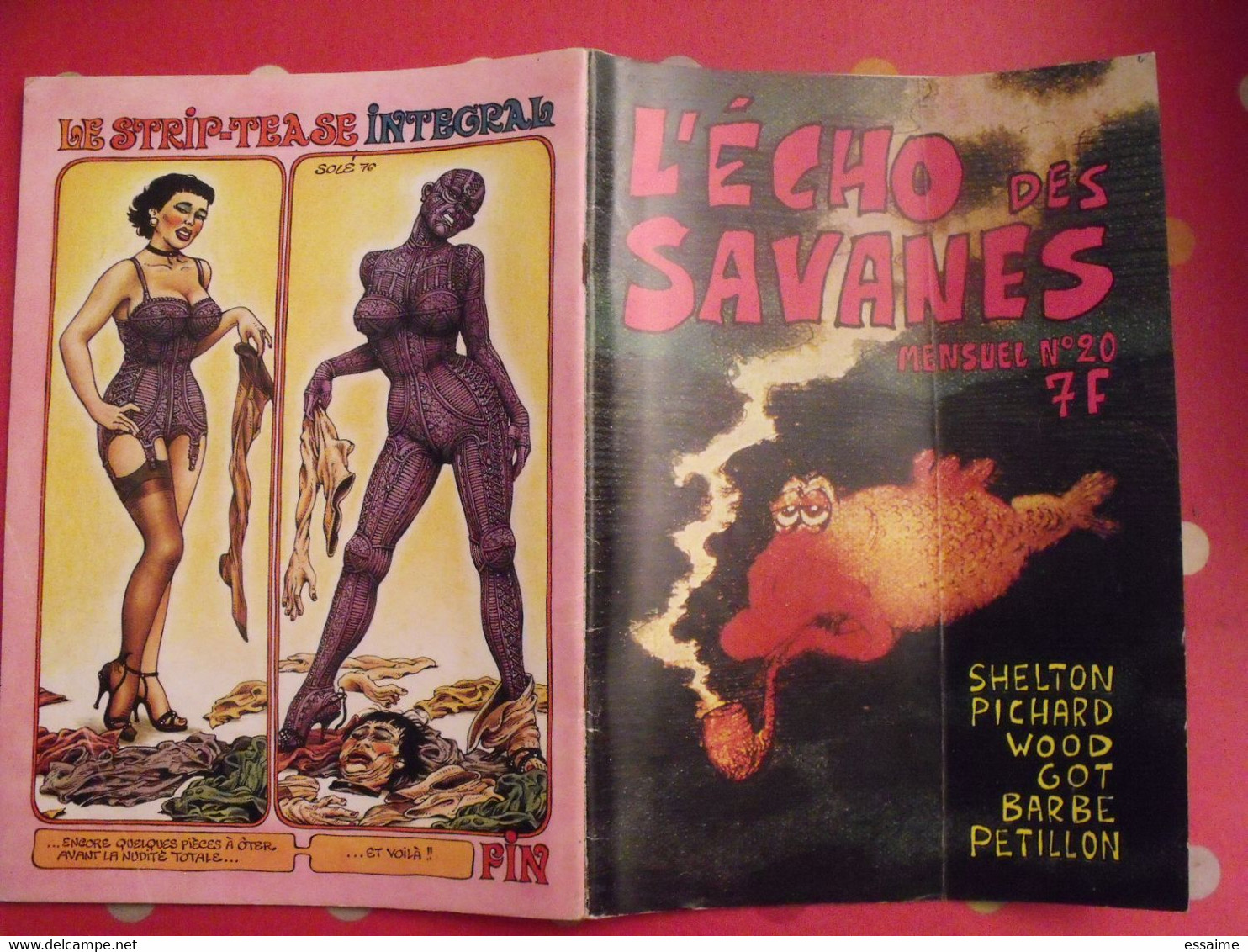 L'écho Des Savanes N° 20. 1976. Shelton Barbe Got Pichard Pétillon  Wood - L'Echo Des Savanes