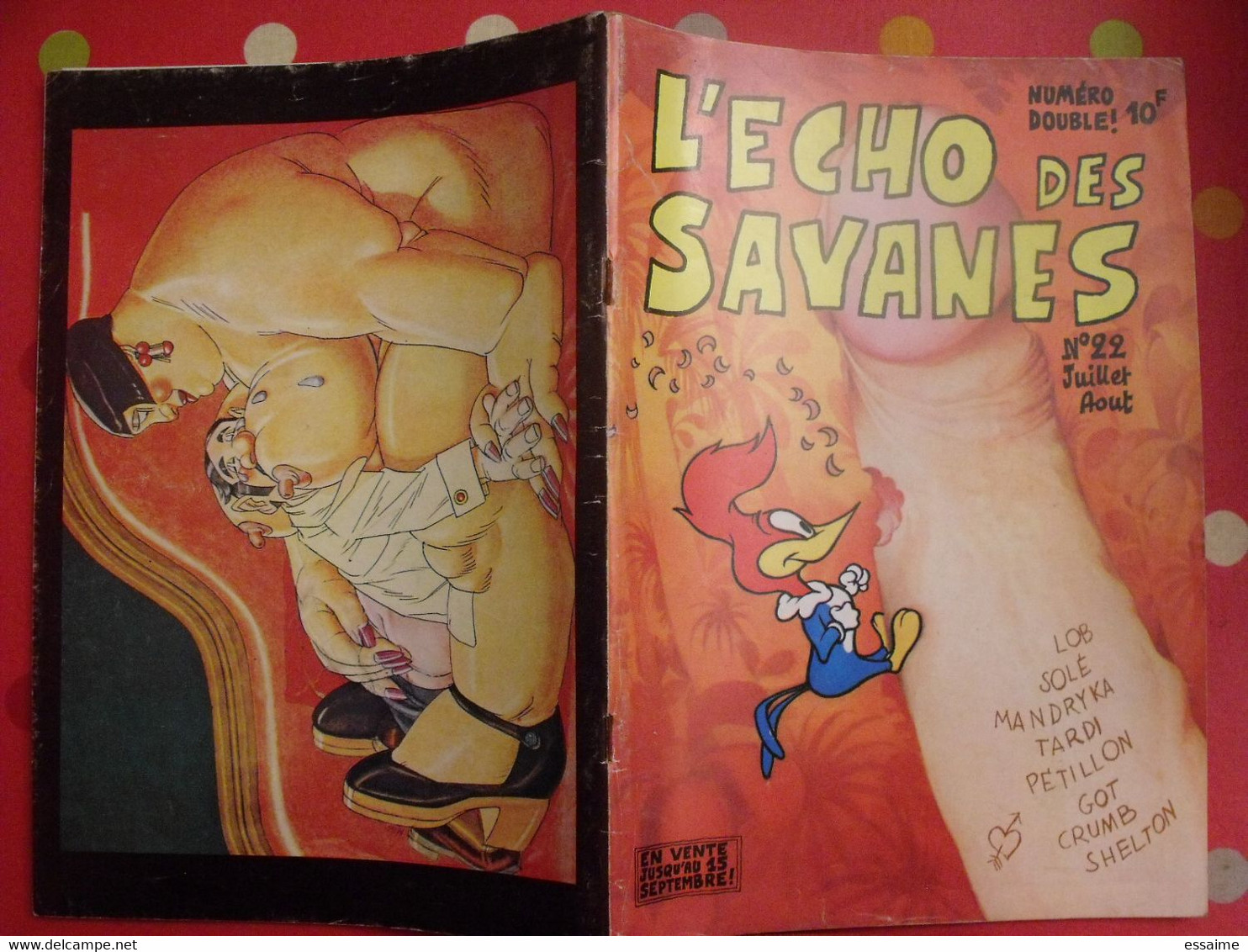 L'écho Des Savanes N° 22. 1976. Shelton Crumb Got Pétillon Tardi Solé Mandryka Lob - L'Echo Des Savanes