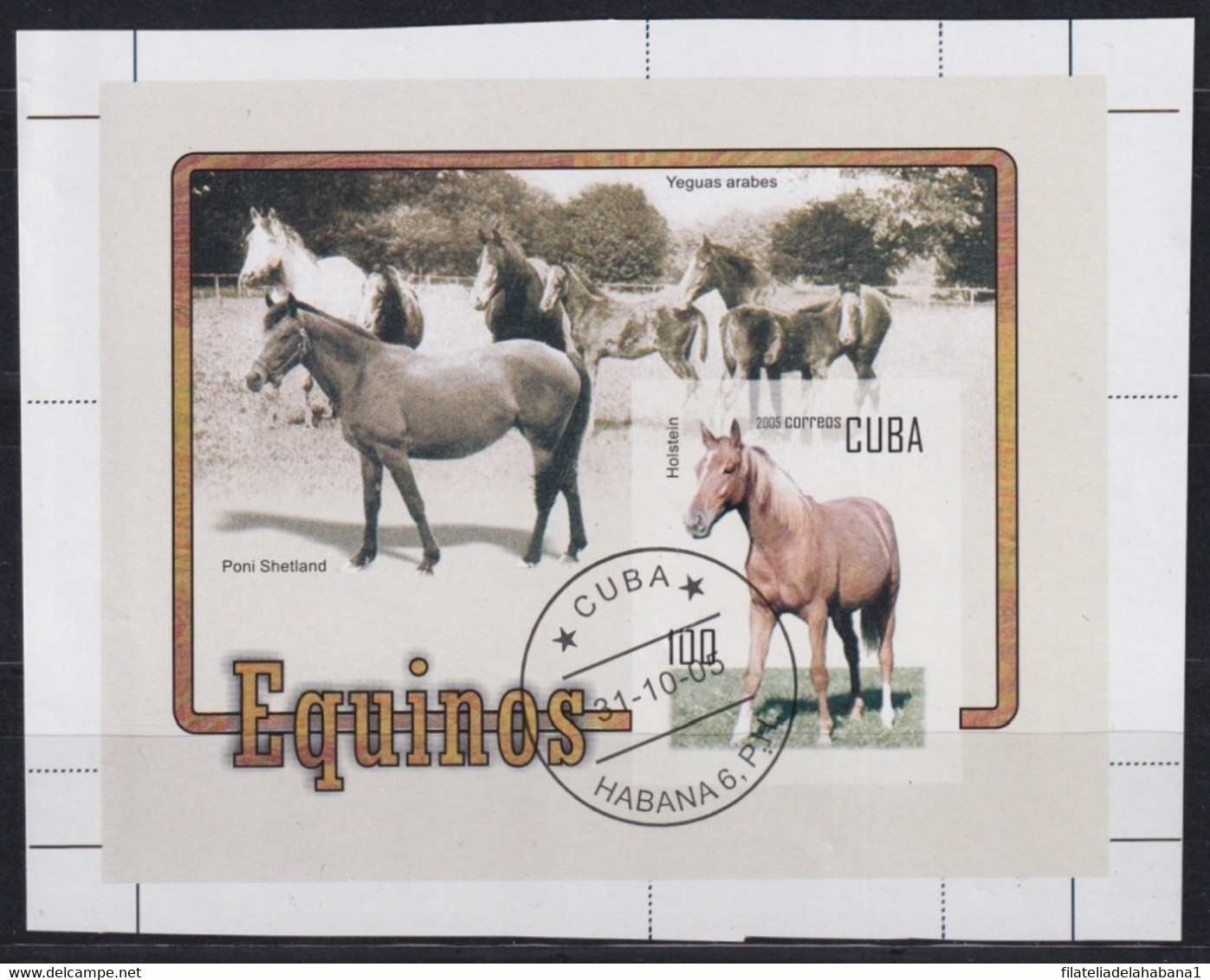 2005.430 CUBA CANCEL 2005 IMPERFORATED UNCUT PROOF HORSE CABALLOS EQUINOS CANCEL. - Sin Dentar, Pruebas De Impresión Y Variedades