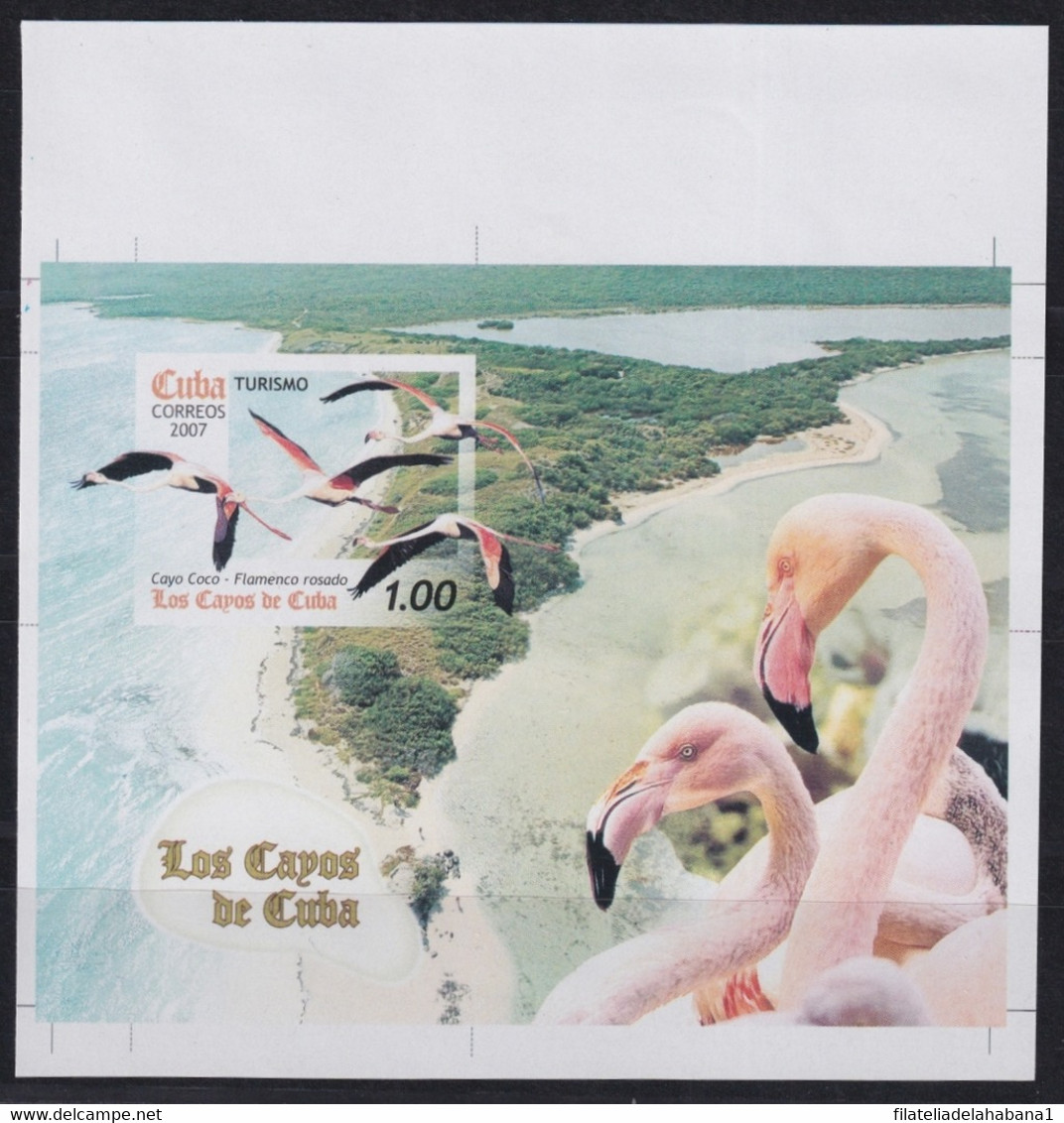2007.691 CUBA MNH 2009 IMPERFORATED PROOF UNCUT CAYOS BIRD AVES FLAMINGO. - Imperforates, Proofs & Errors