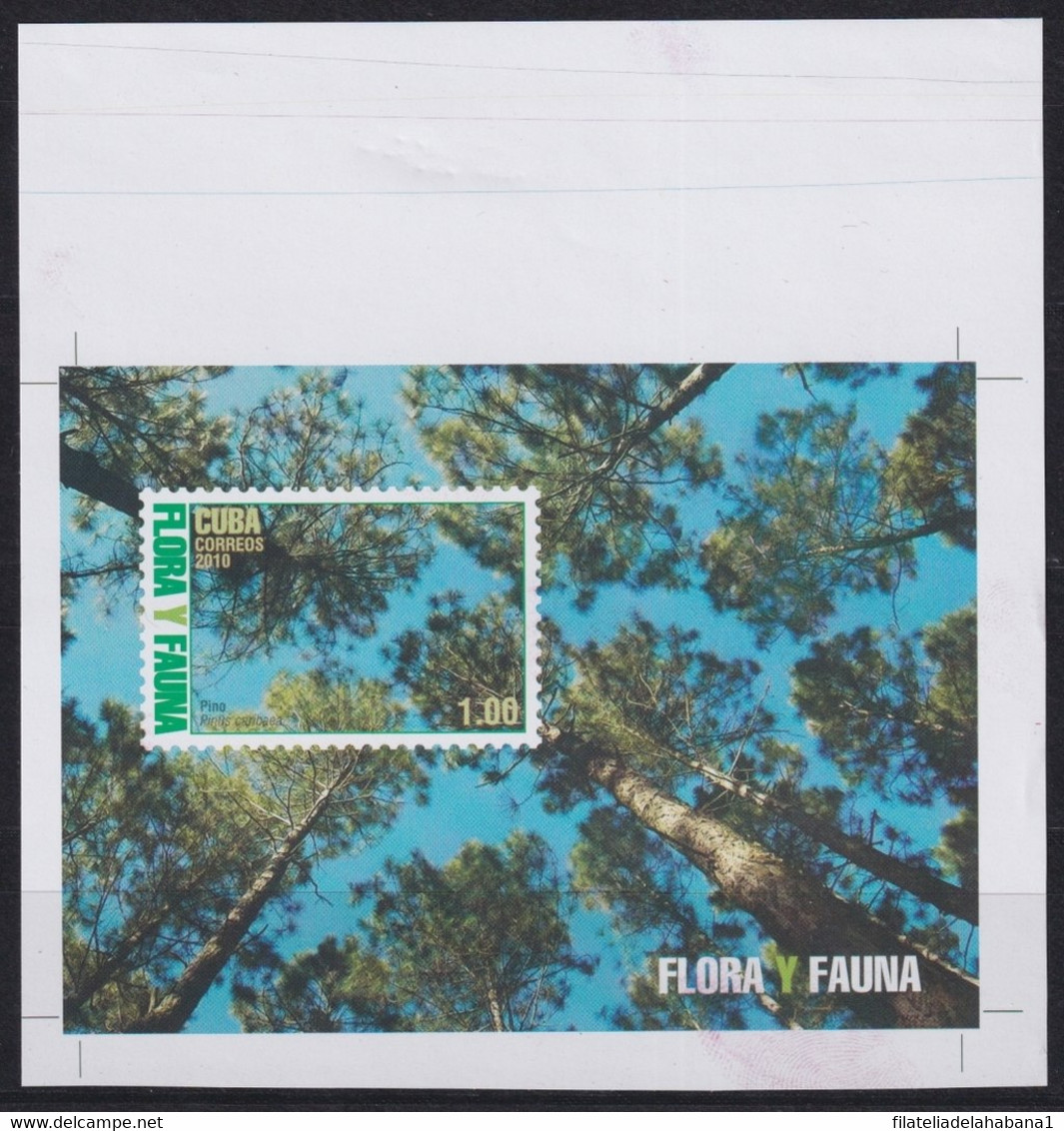 2010.667 CUBA MNH 2010 IMPERFORATED PROOF SHEET FLORA & FAUNA TREE - Imperforates, Proofs & Errors