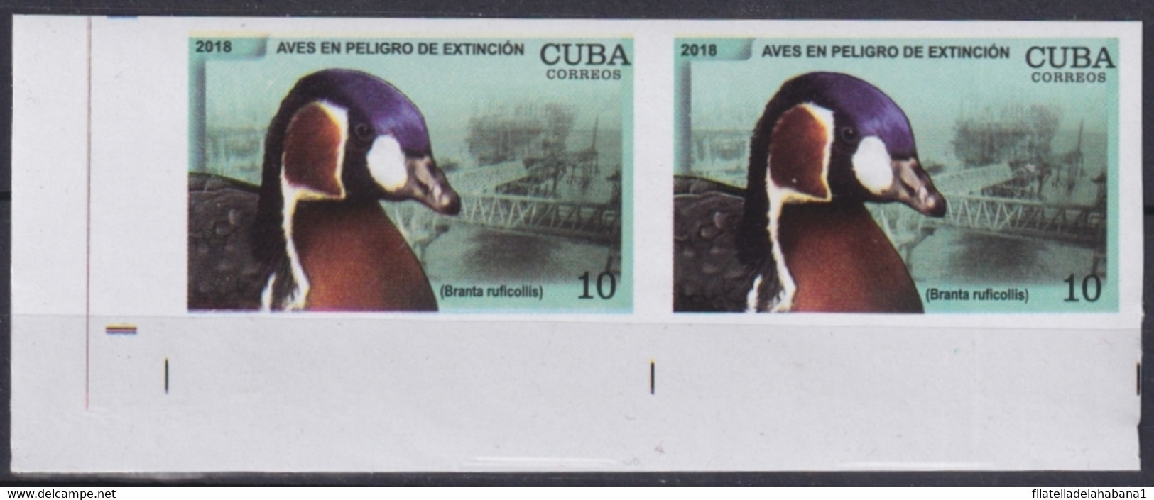 2018.200 CUBA MNH 2018 IMPERFORATED PROOF 10c BIRD ENDANGERED AVES PAJAROS DUCK. - Sin Dentar, Pruebas De Impresión Y Variedades